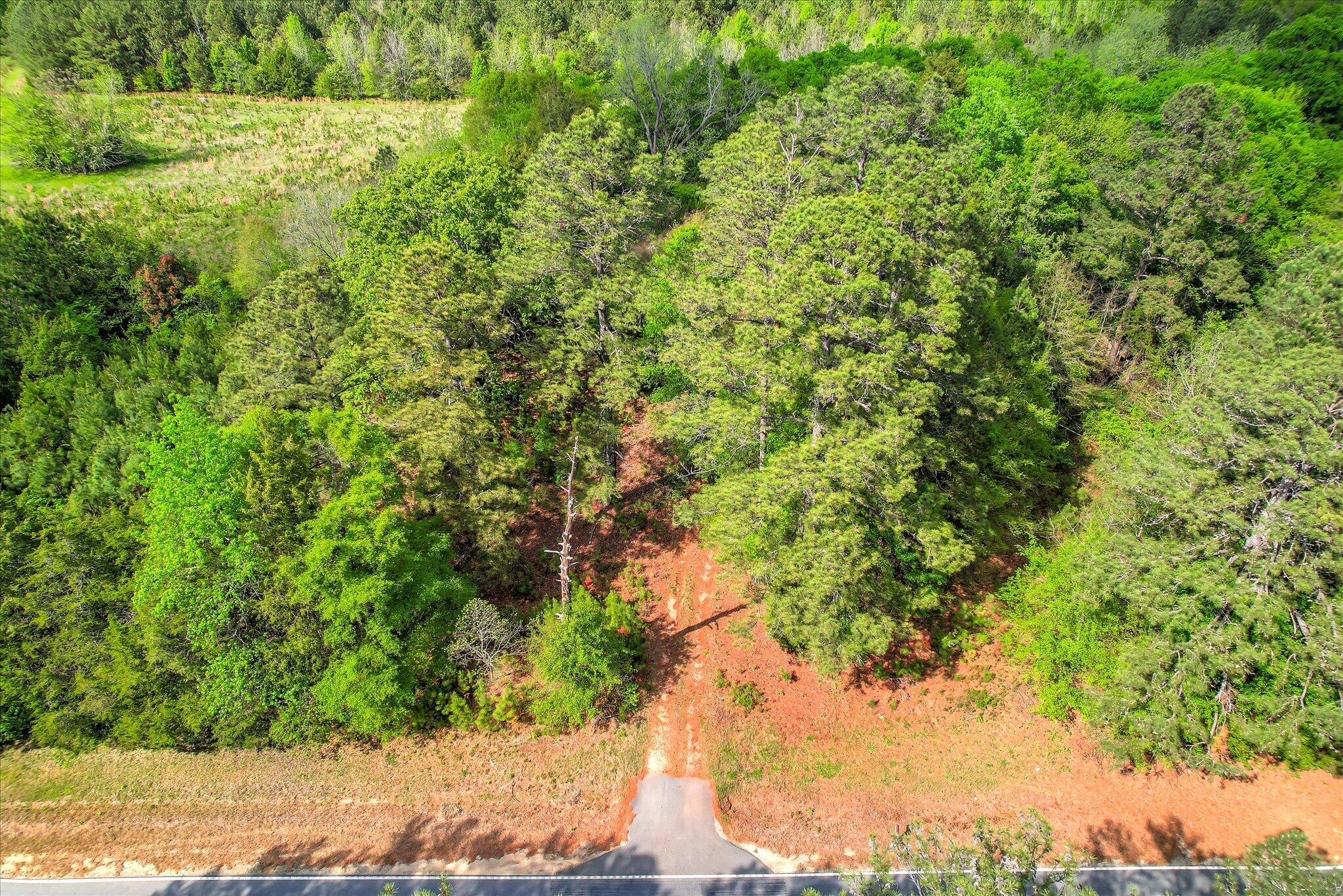 6995 Cobbham Road Property Photo 3