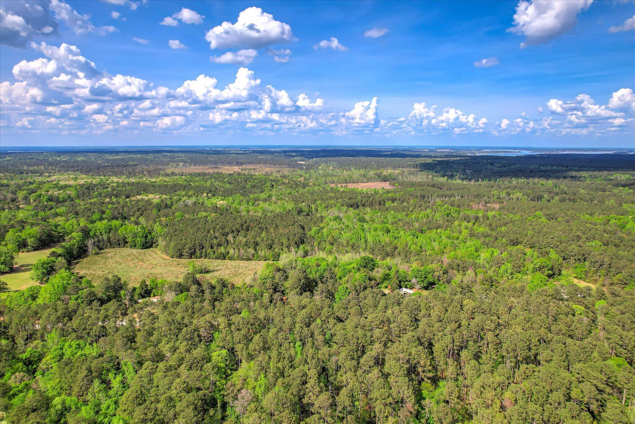 6995 Cobbham Road Property Photo 4