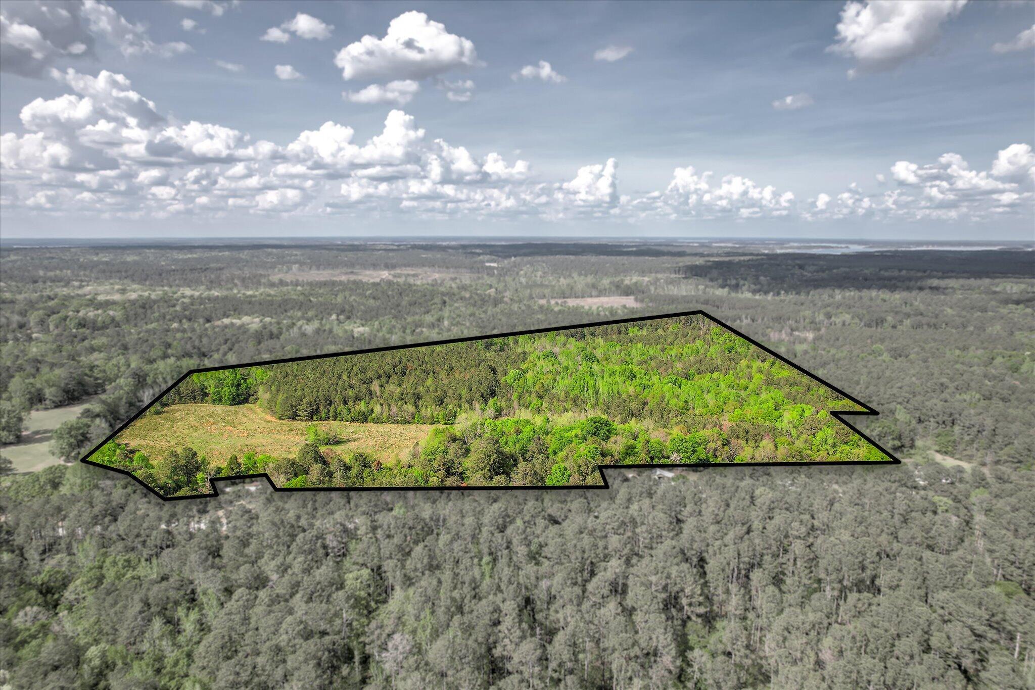 6995 Cobbham Road Property Photo 10