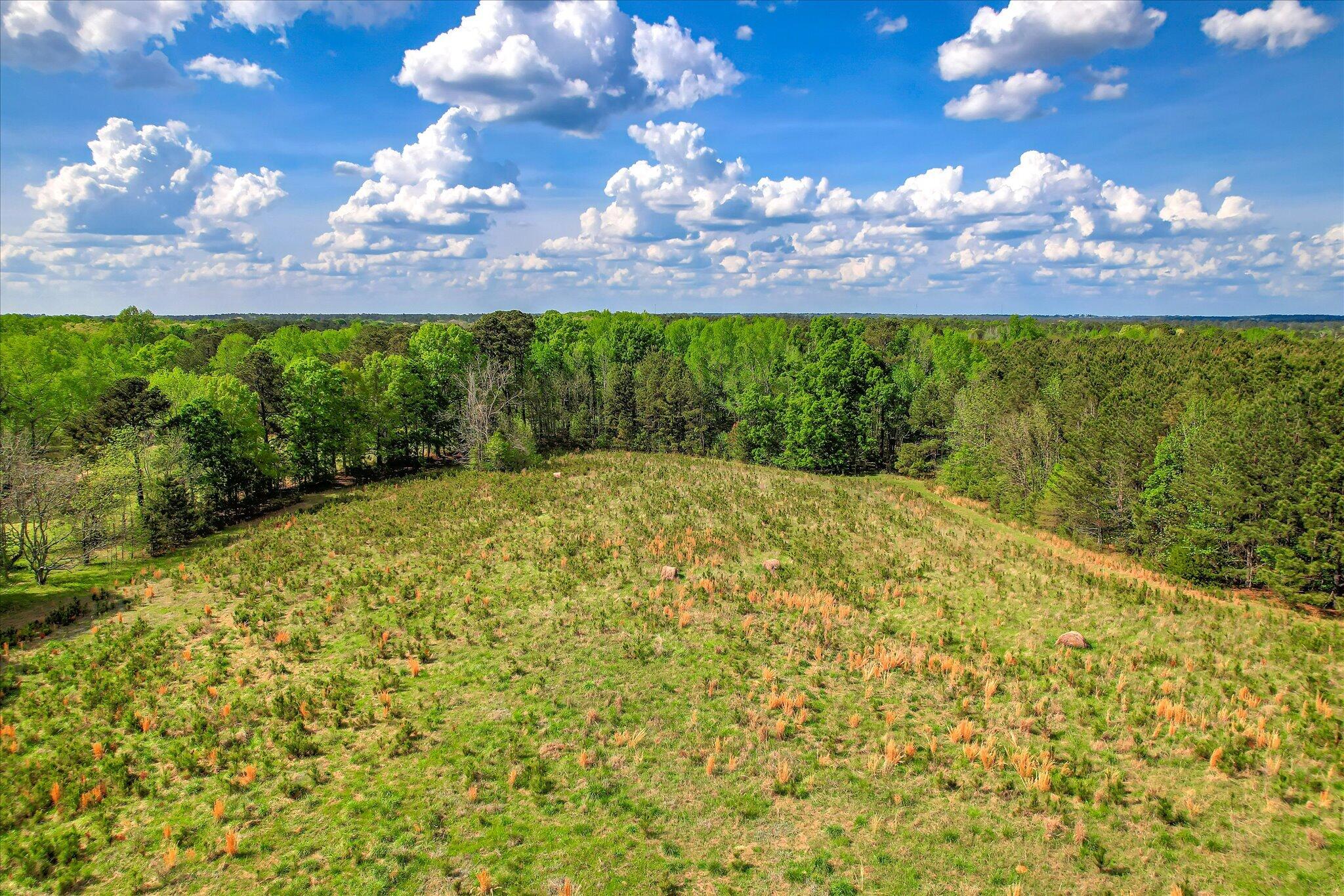 6995 Cobbham Road Property Photo 12