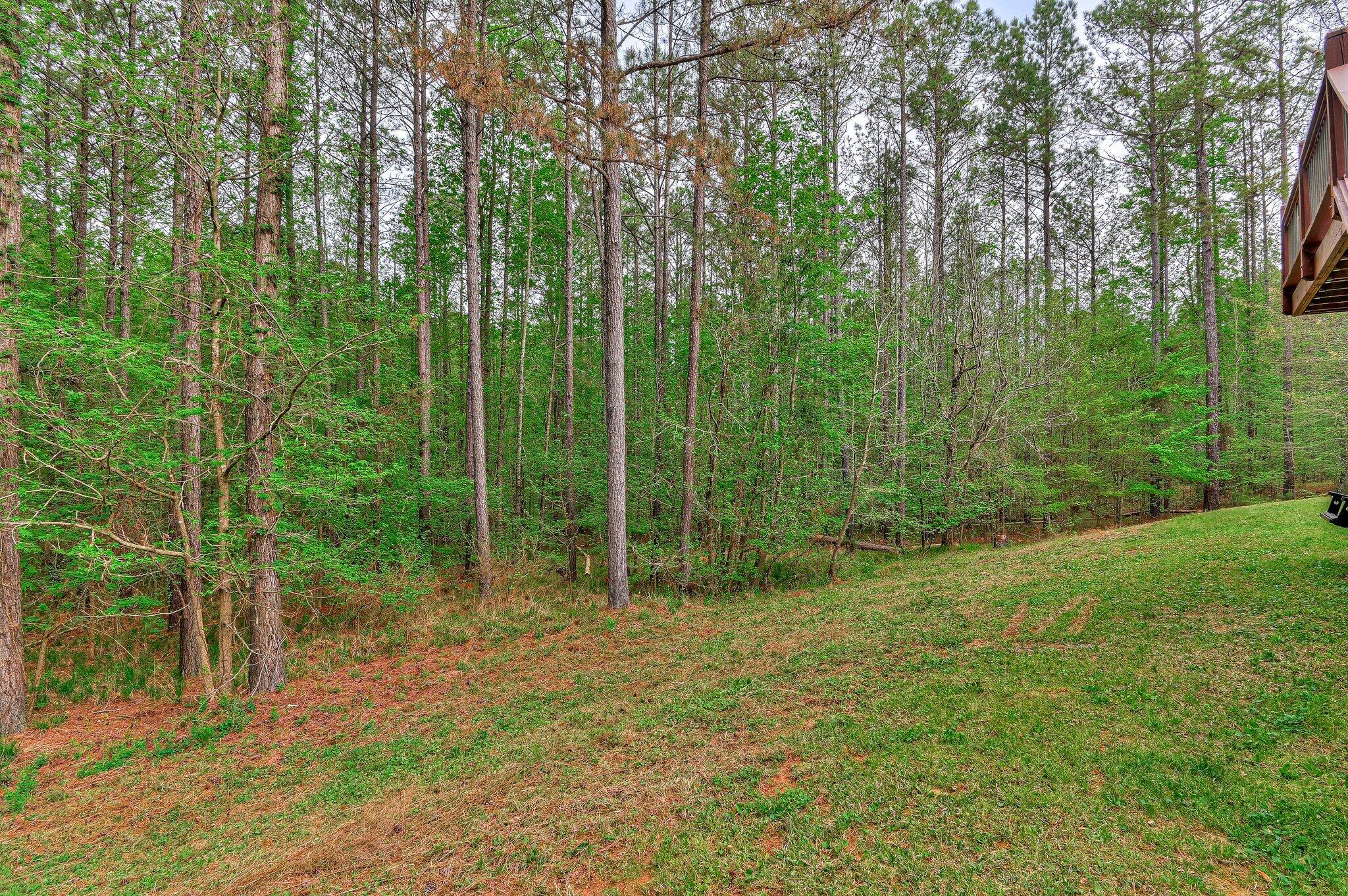 1067 Maiden Cane Way Property Photo 46