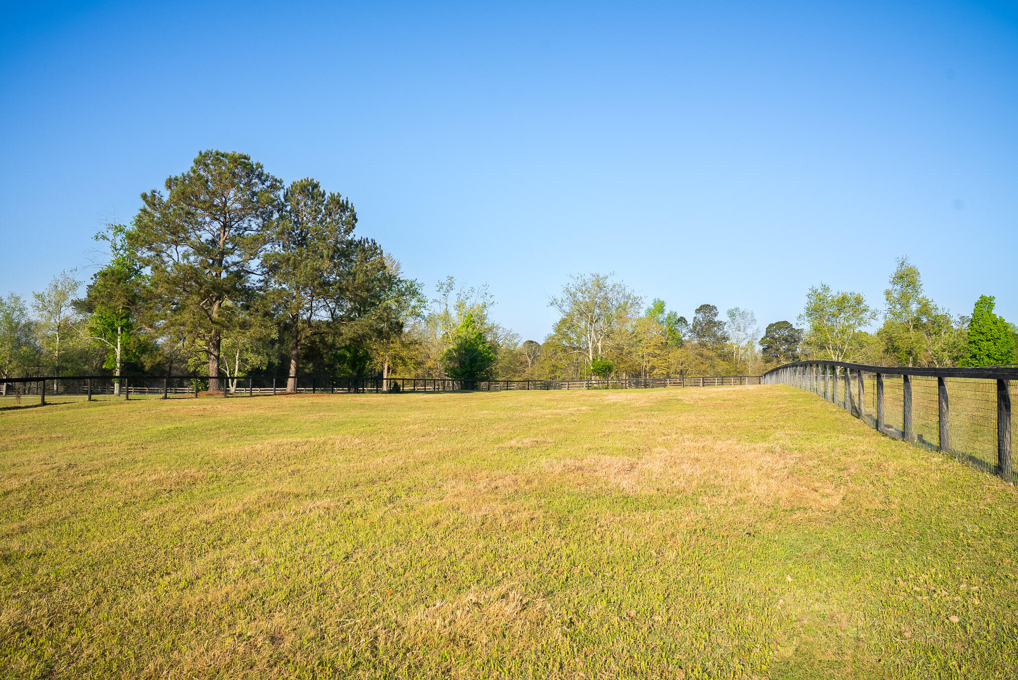 708 New Bridge Road Property Photo 40