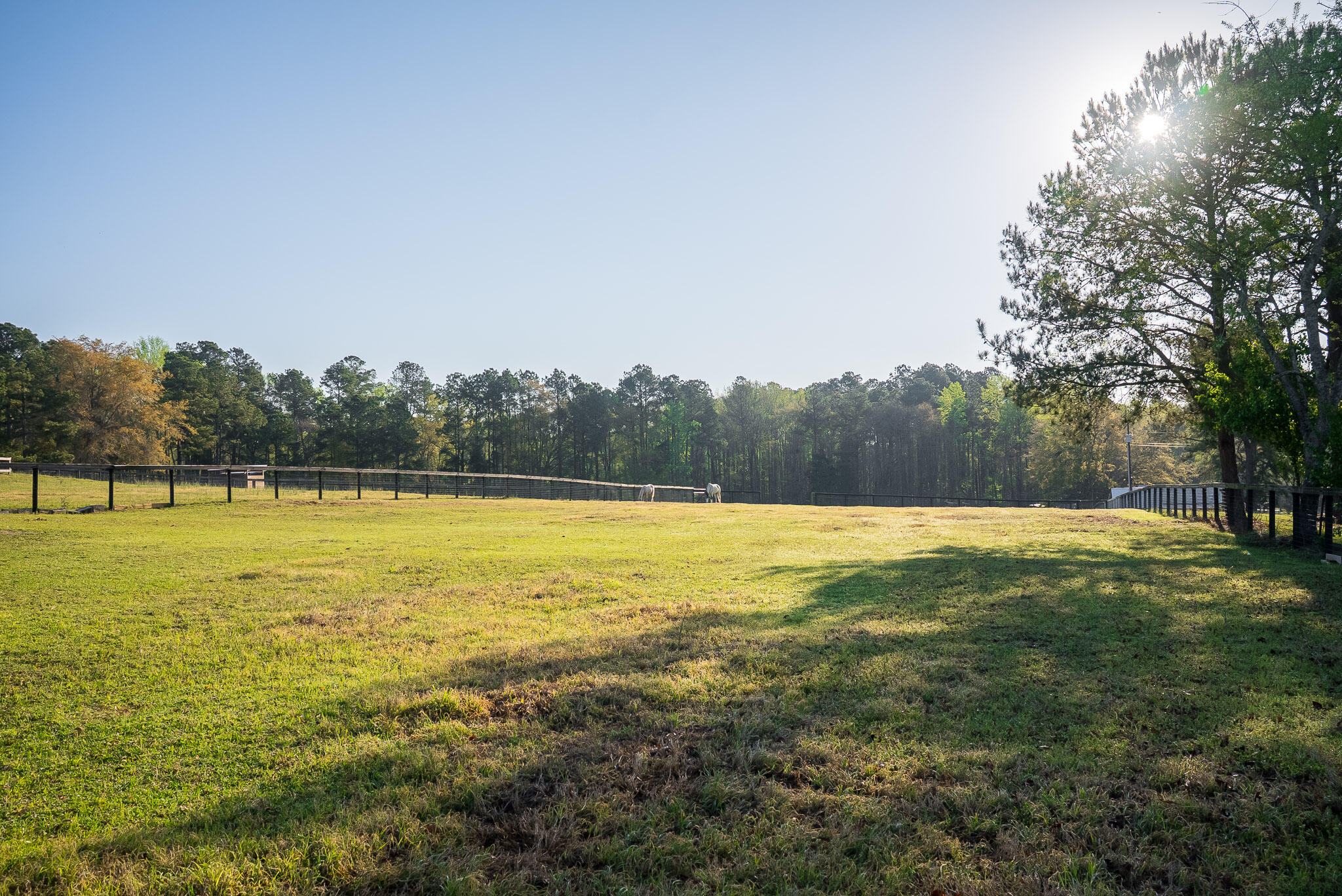 708 New Bridge Road Property Photo 41