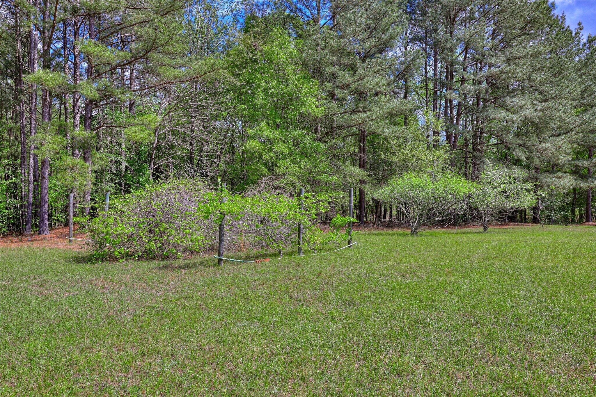 2146 Thomson Highway Property Photo 50