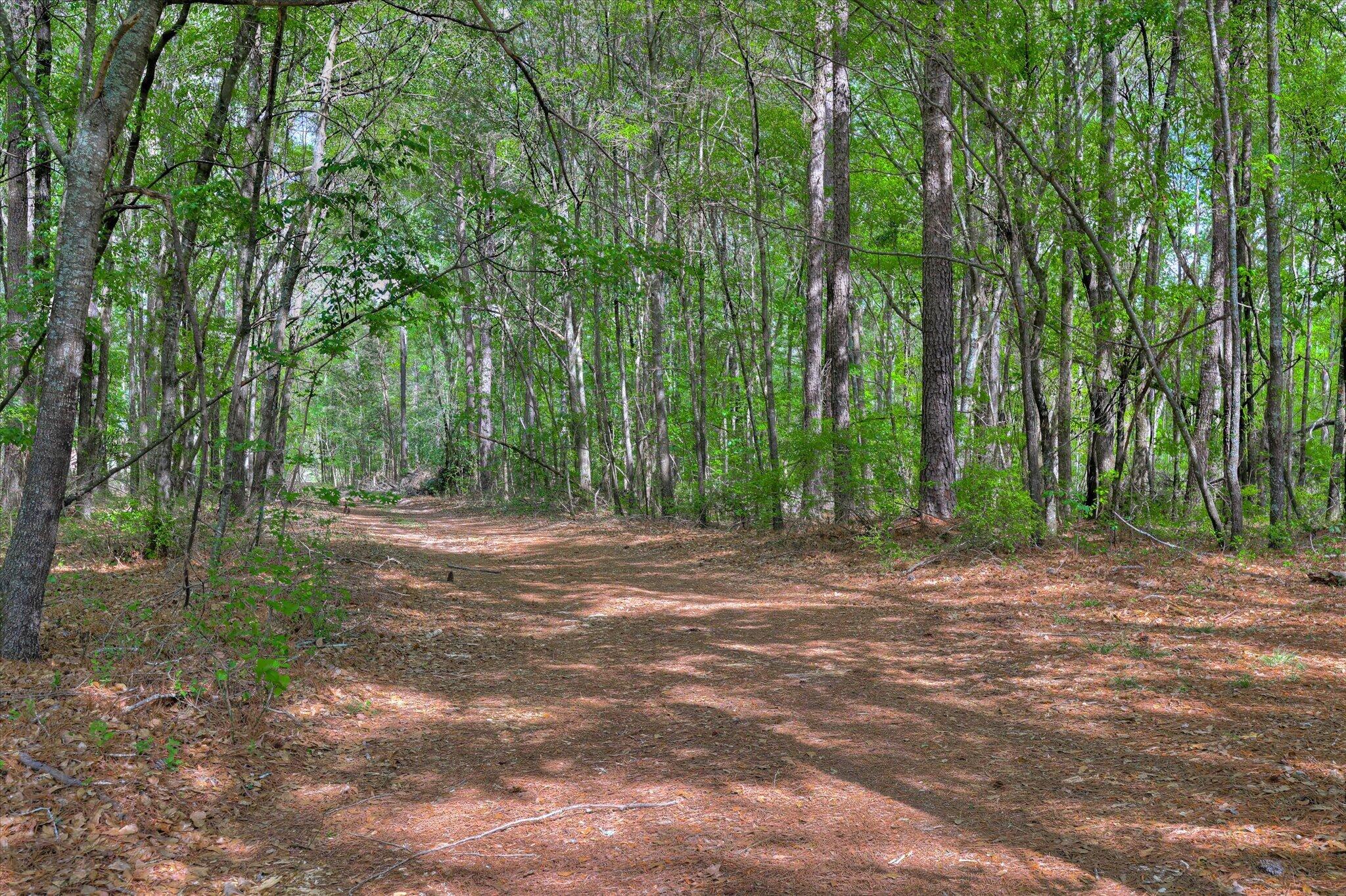 2146 Thomson Highway Property Photo 51