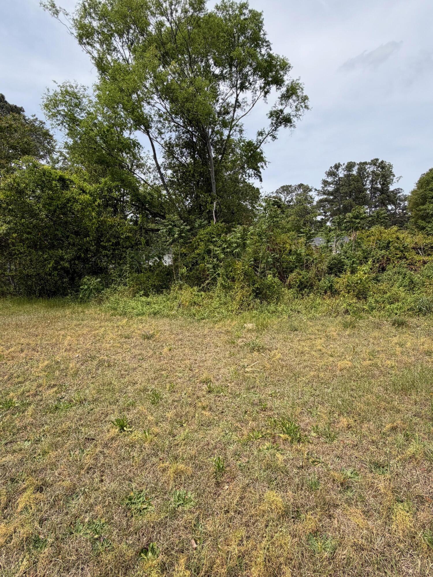 3508 Davis Drive Property Photo 3