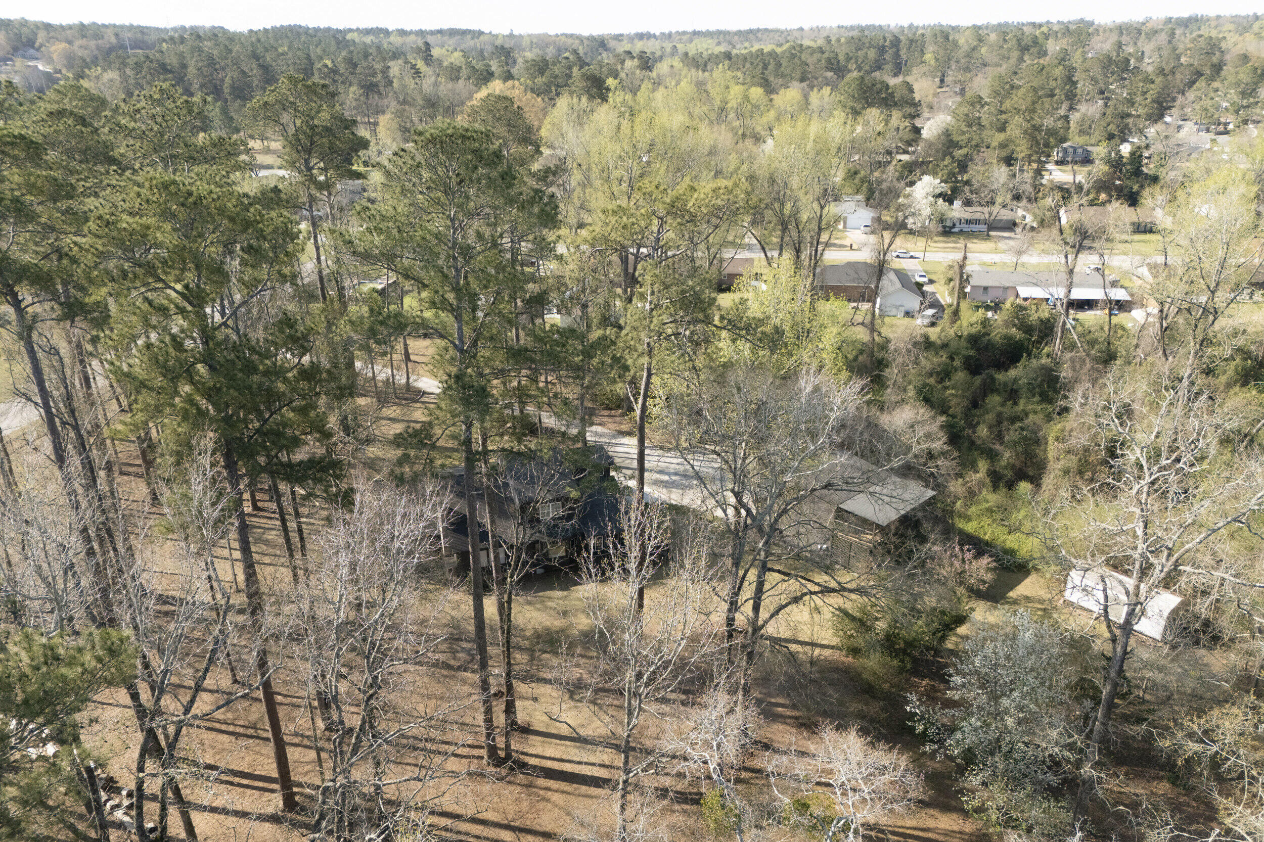 4002 Burning Tree Lane Property Photo 57