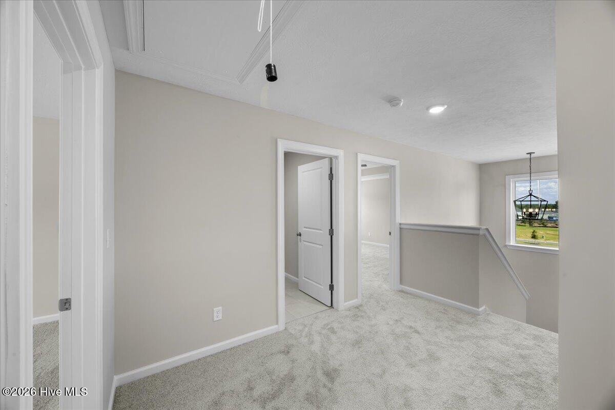 846 Balfour Drive Tp248 Property Photo 15