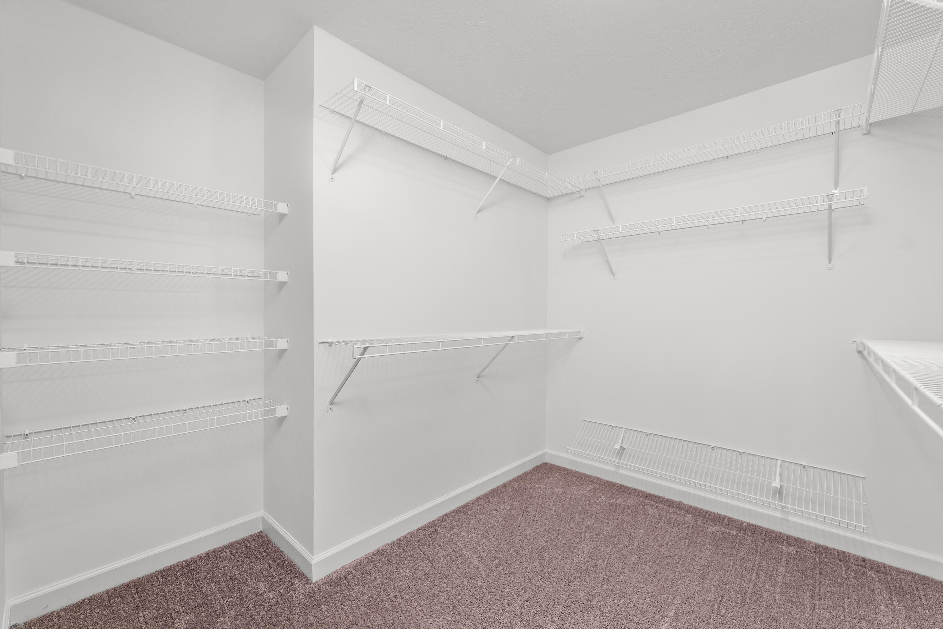 3009 Stanhope Drive Property Photo 19