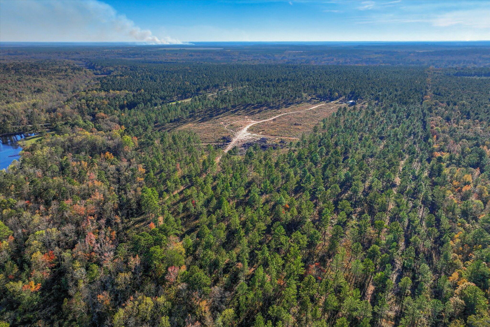 10596 Sand Valley Road Property Photo 8