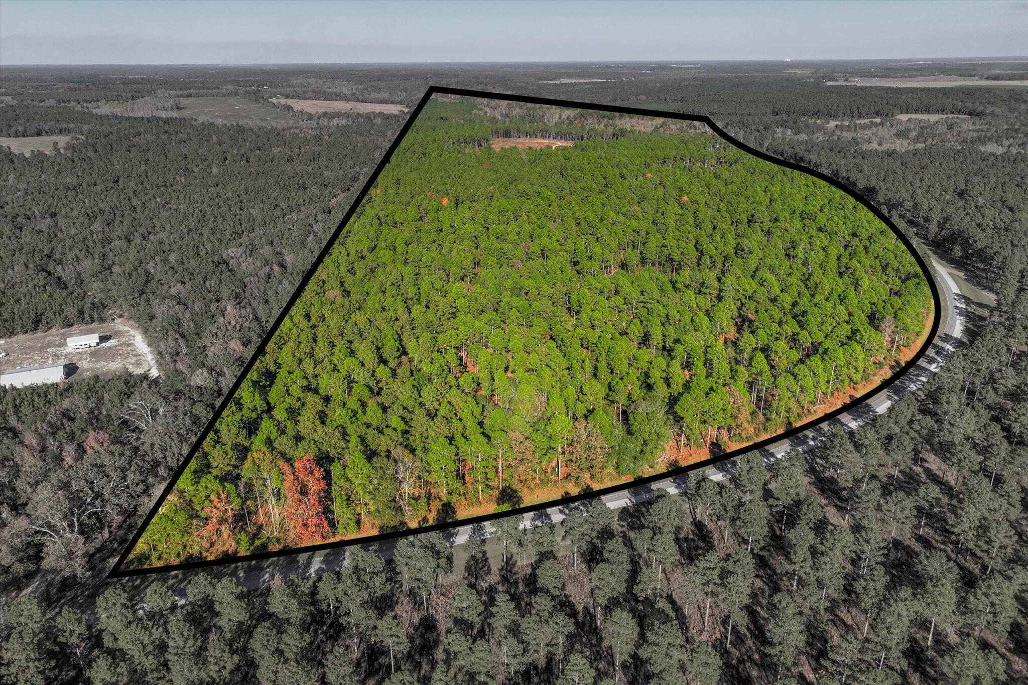10596 Sand Valley Road Property Photo 9