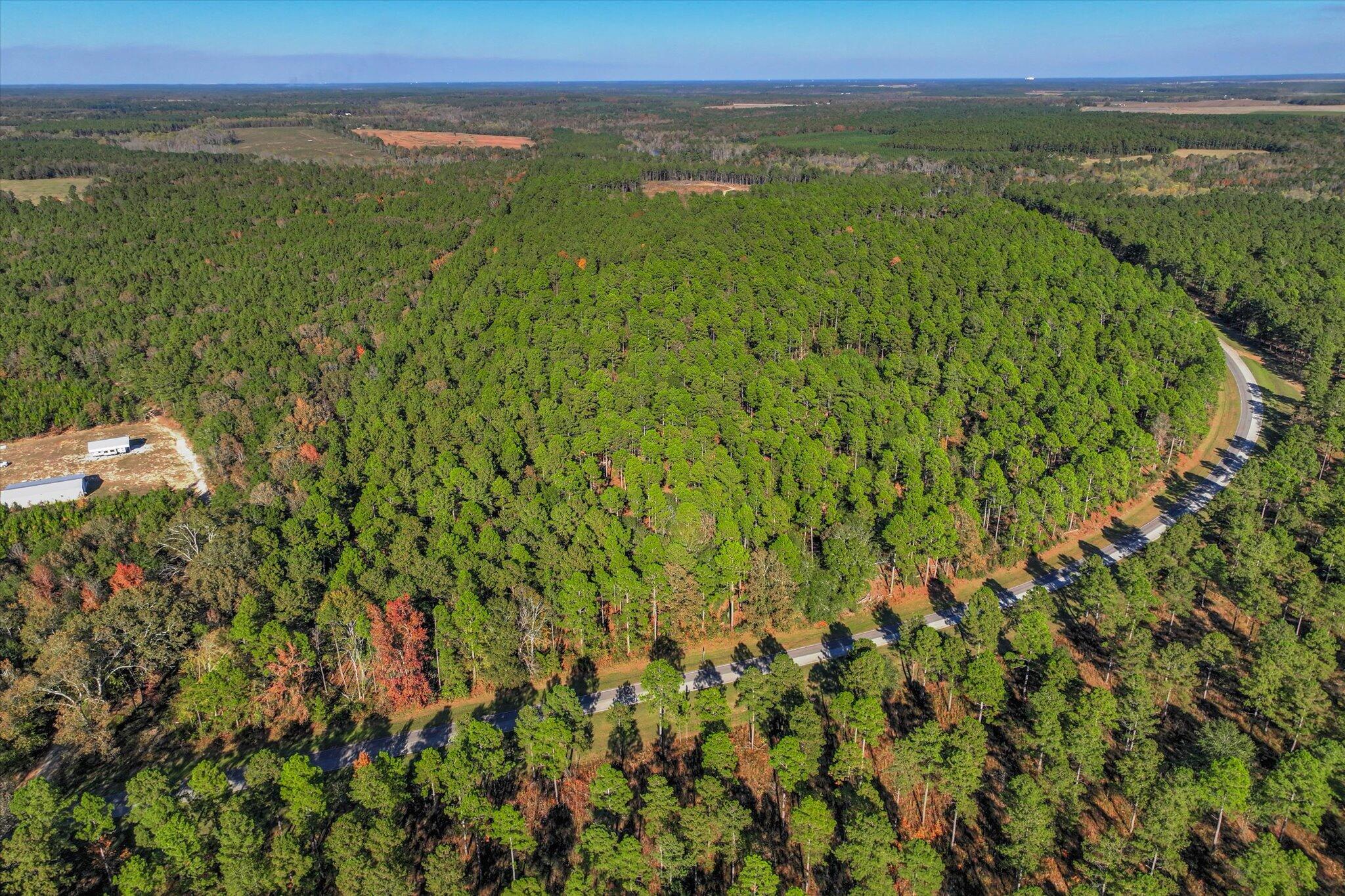 10596 Sand Valley Road Property Photo 10