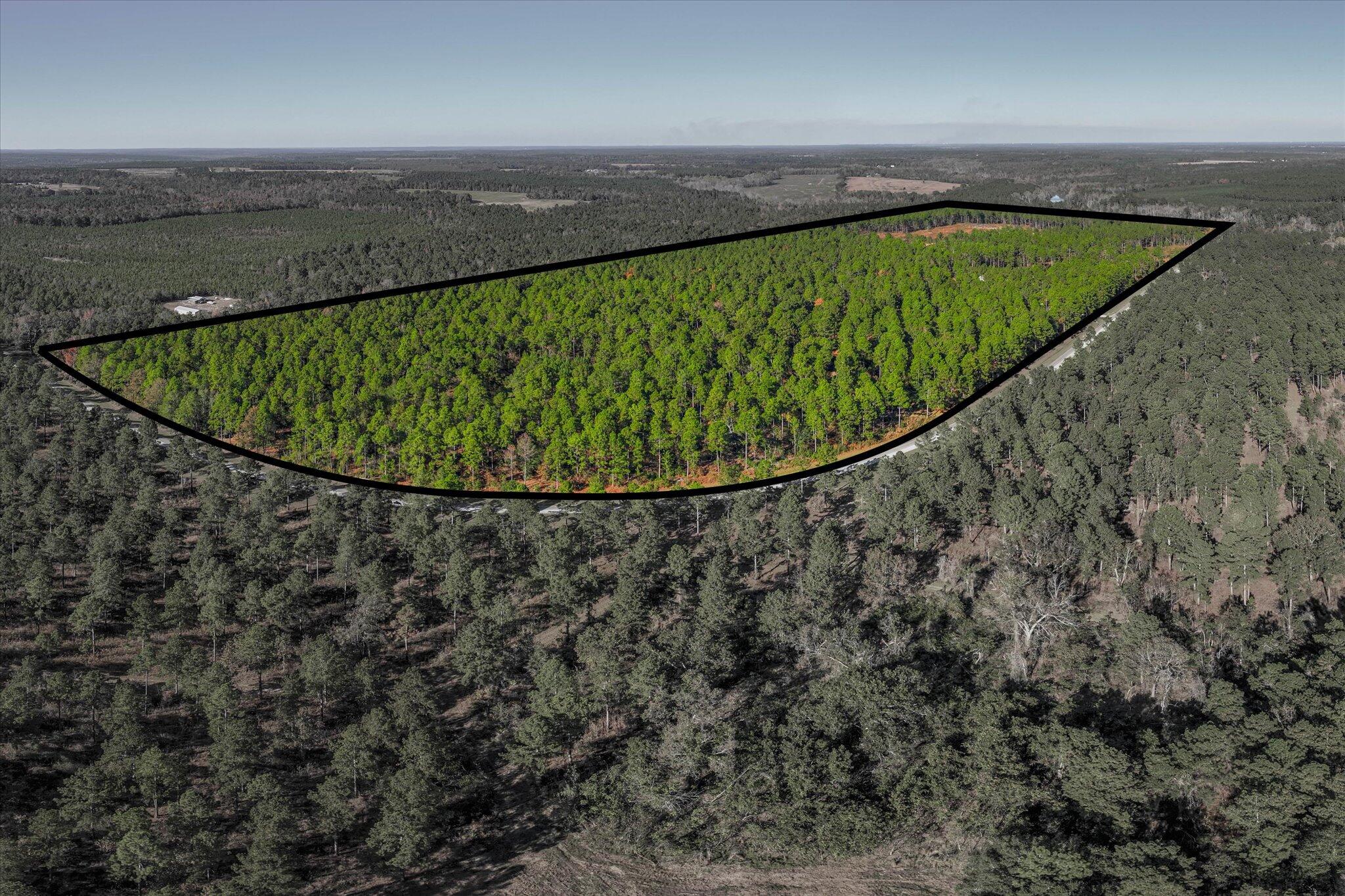 10596 Sand Valley Road Property Photo 11