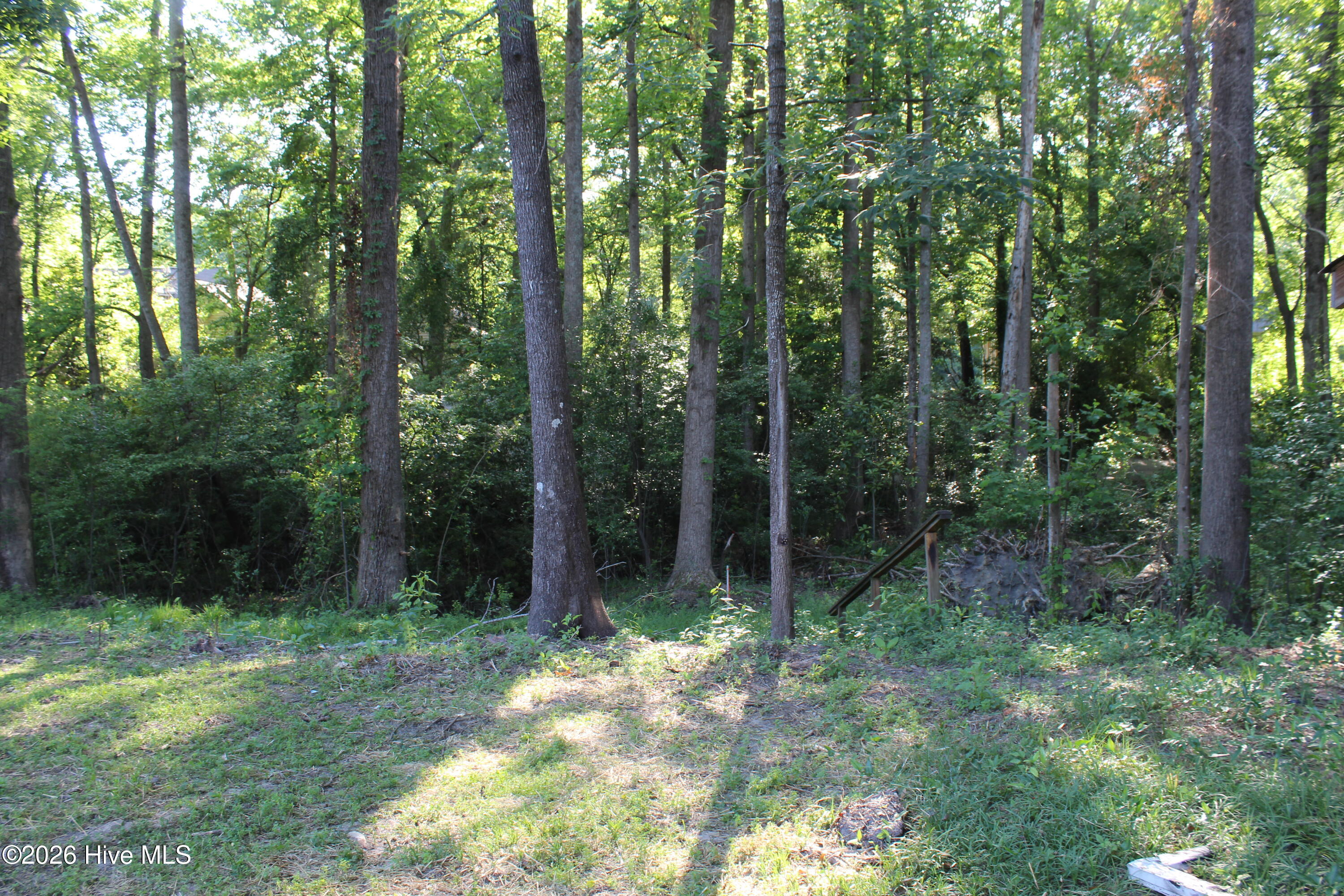 205 Lakeside Drive Property Photo 25