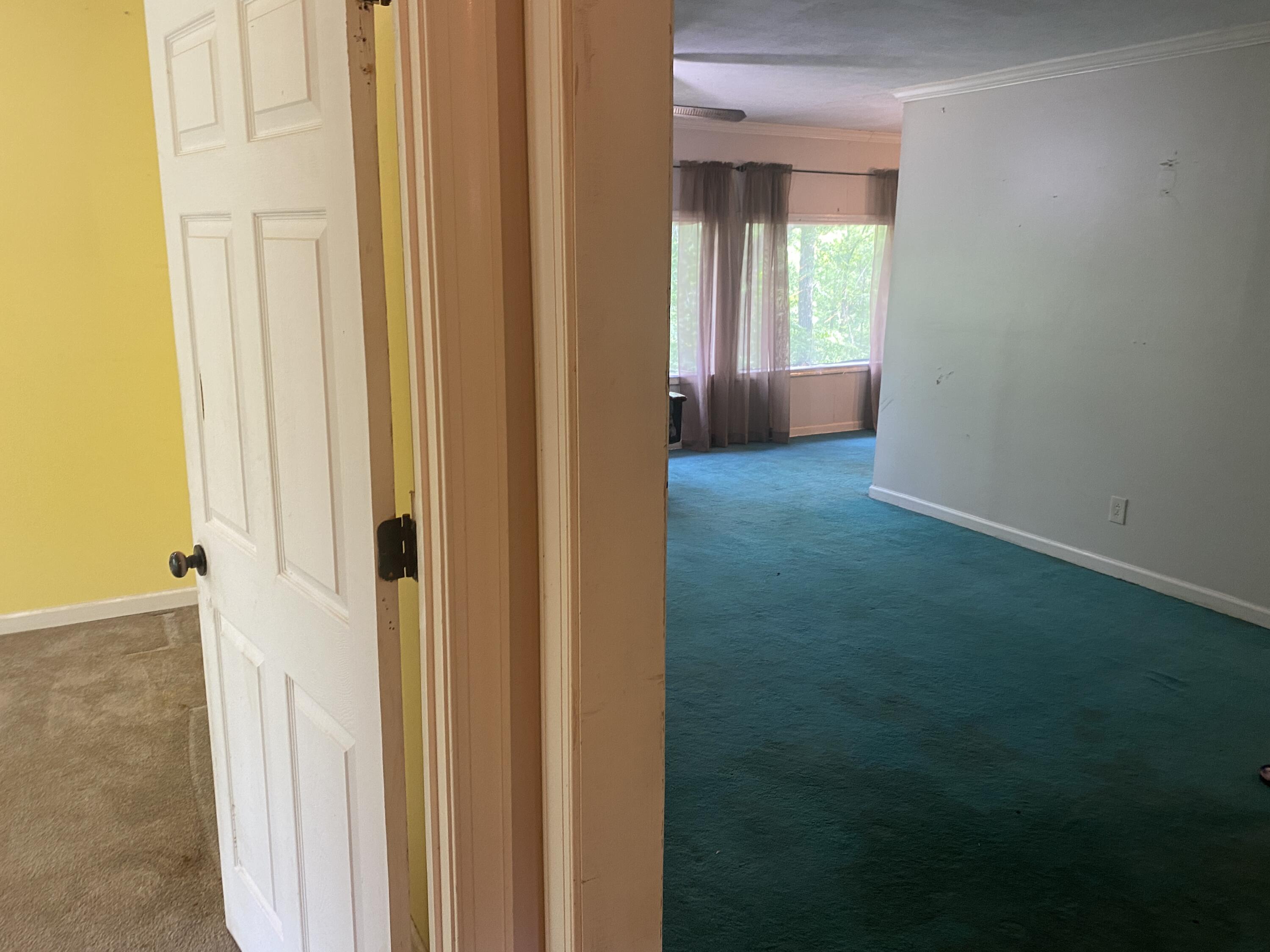 416 Turkey Trail Property Photo 6