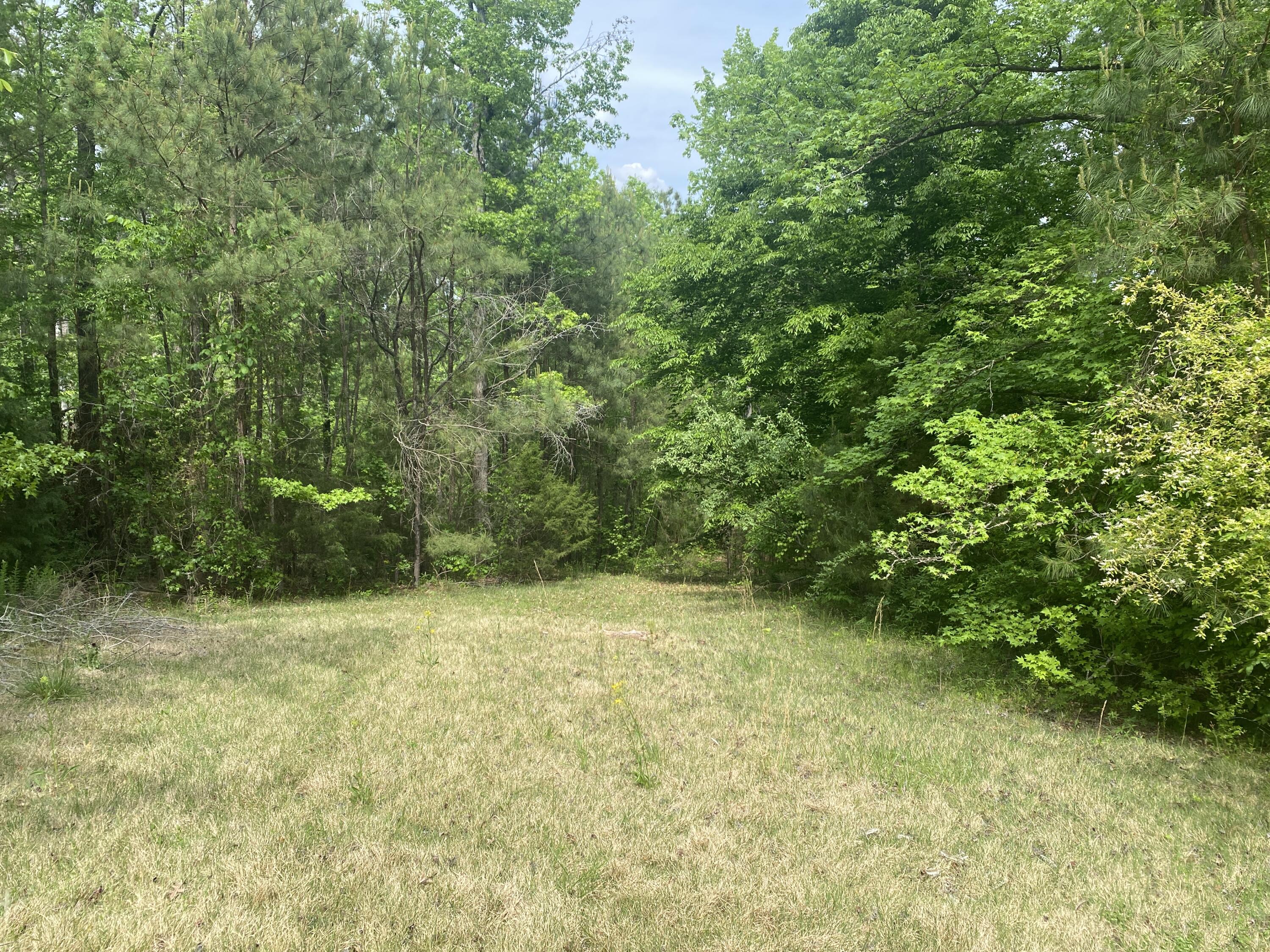416 Turkey Trail Property Photo 54