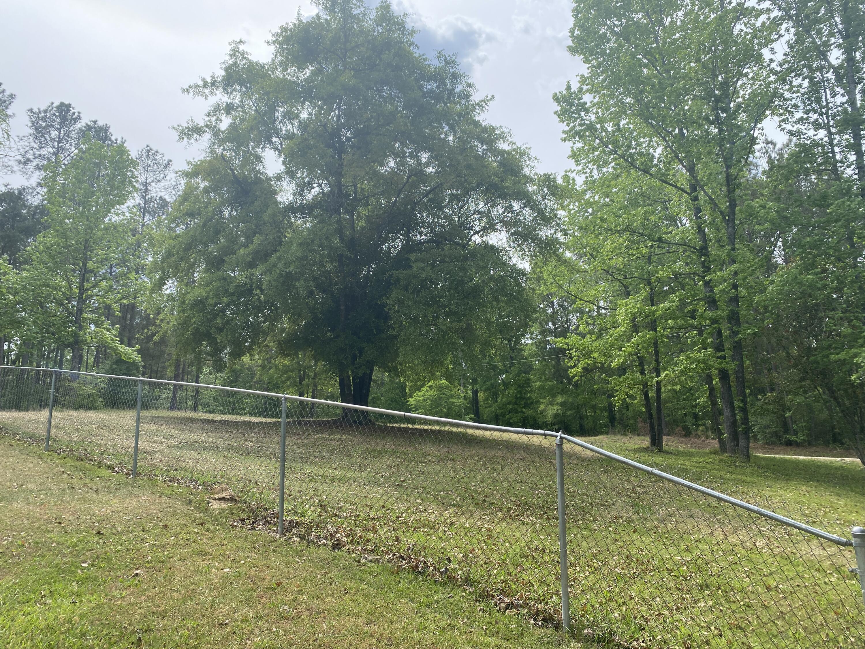 416 Turkey Trail Property Photo 58
