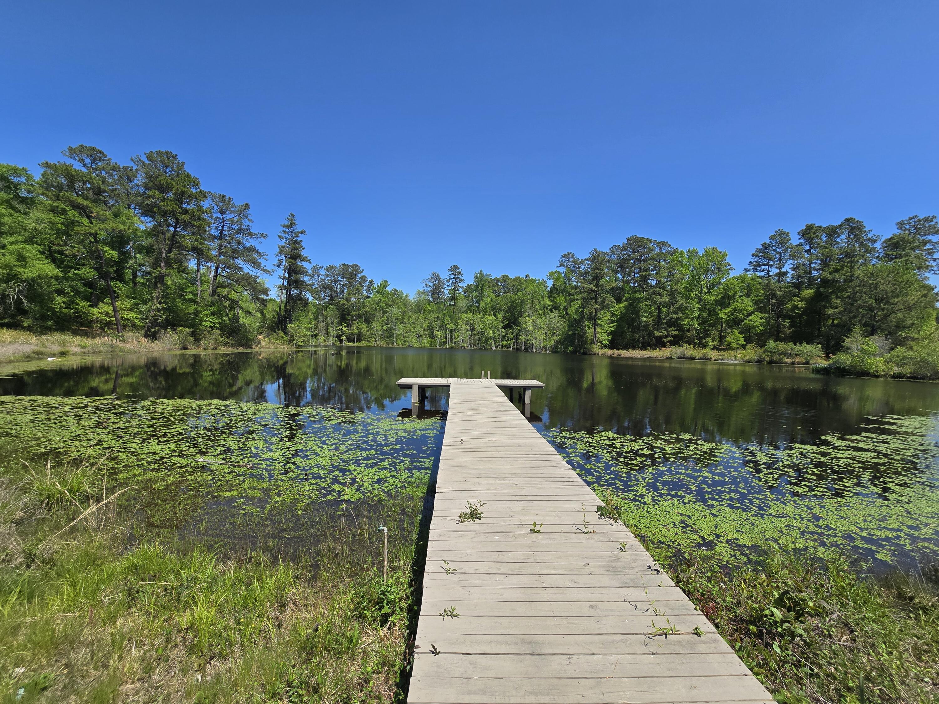 0 Mike Padgett Highway Property Photo 63
