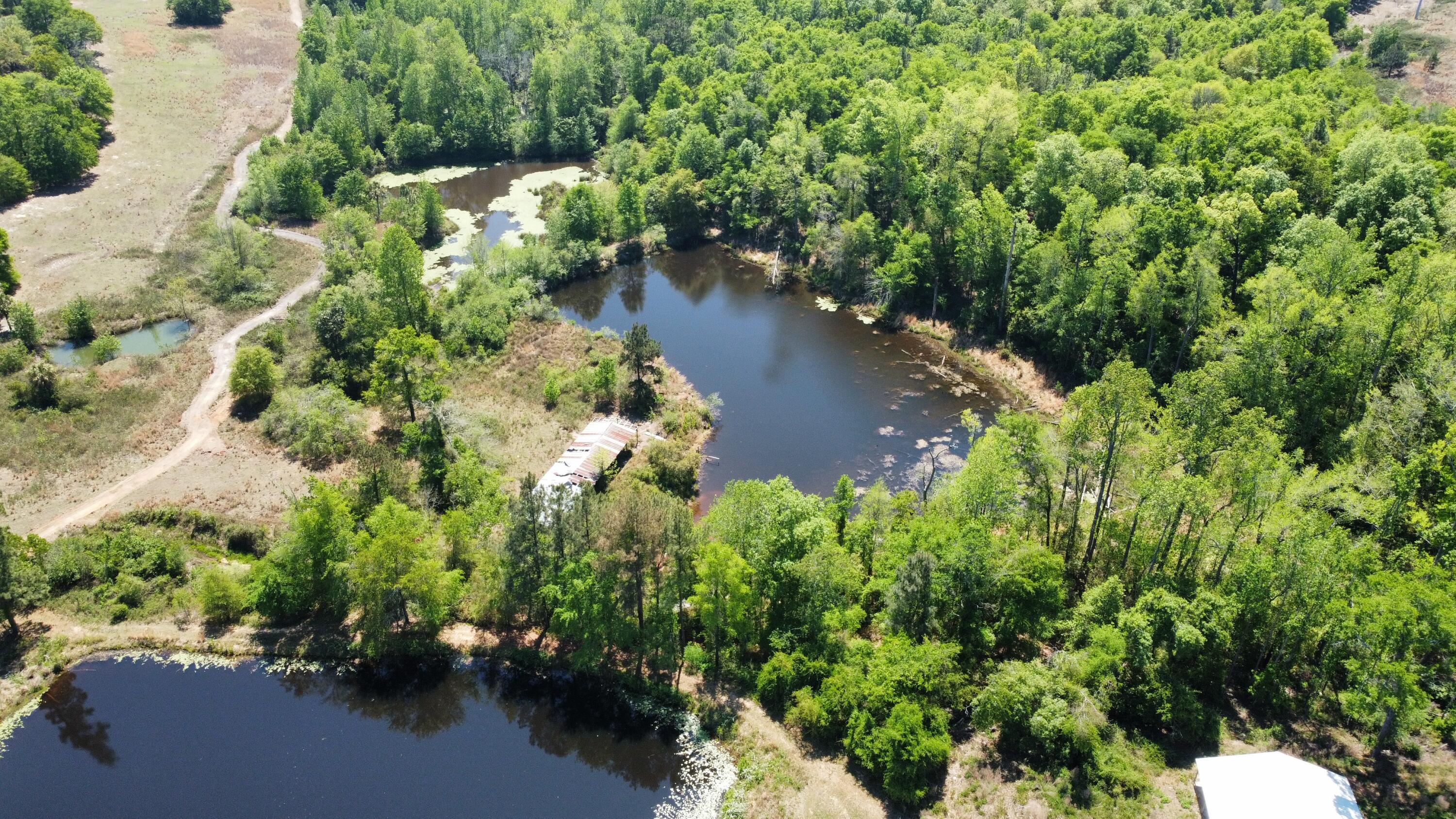 0 Mike Padgett Highway Property Photo 66