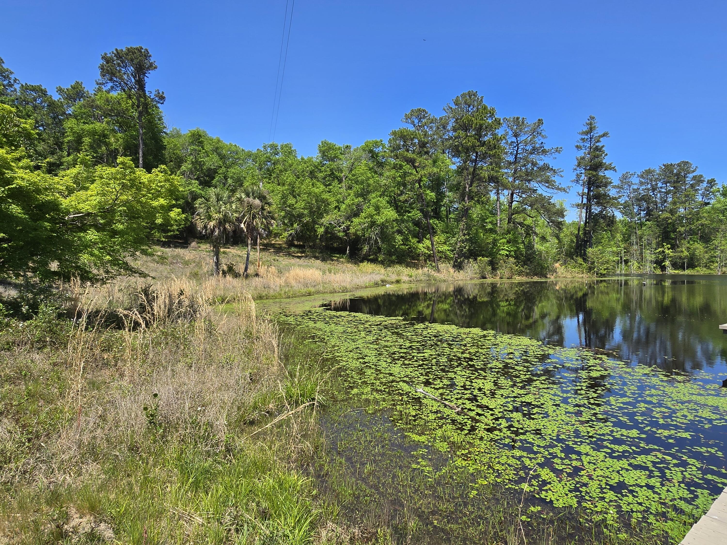 0 Mike Padgett Highway Property Photo 69