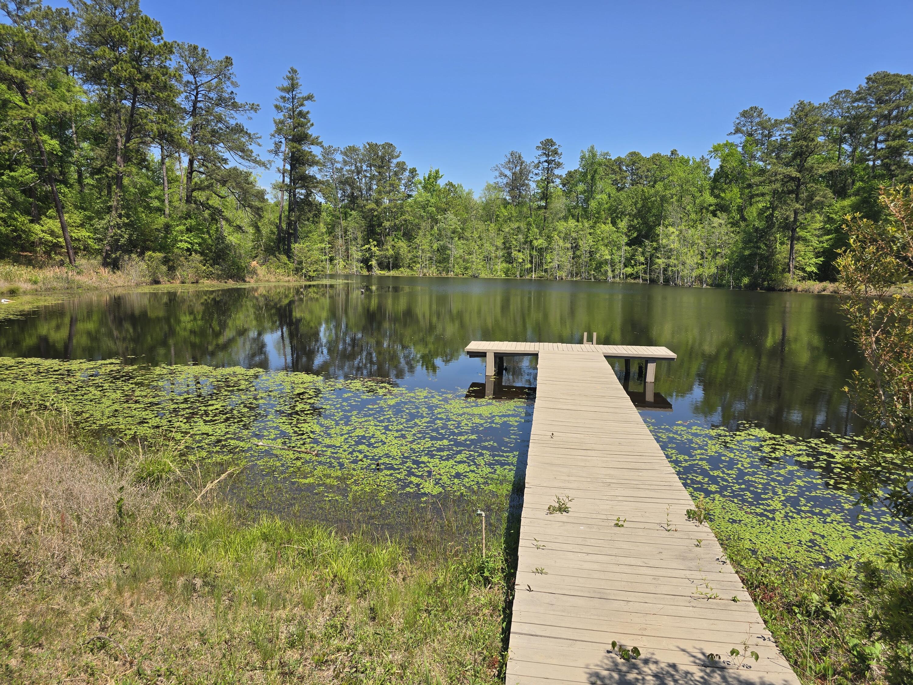 0 Mike Padgett Highway Property Photo 71