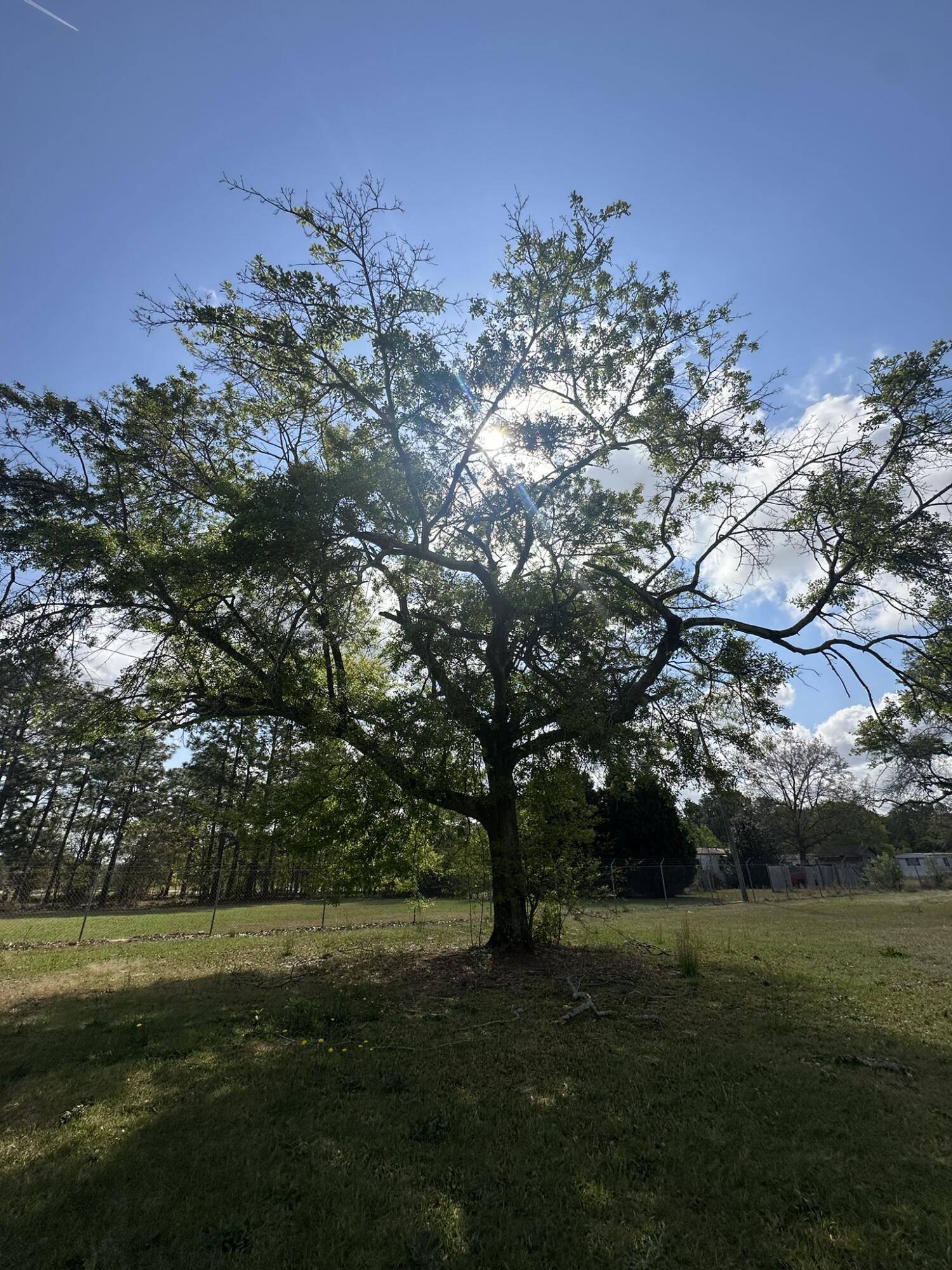 2432-a Tobacco Road Property Photo 6