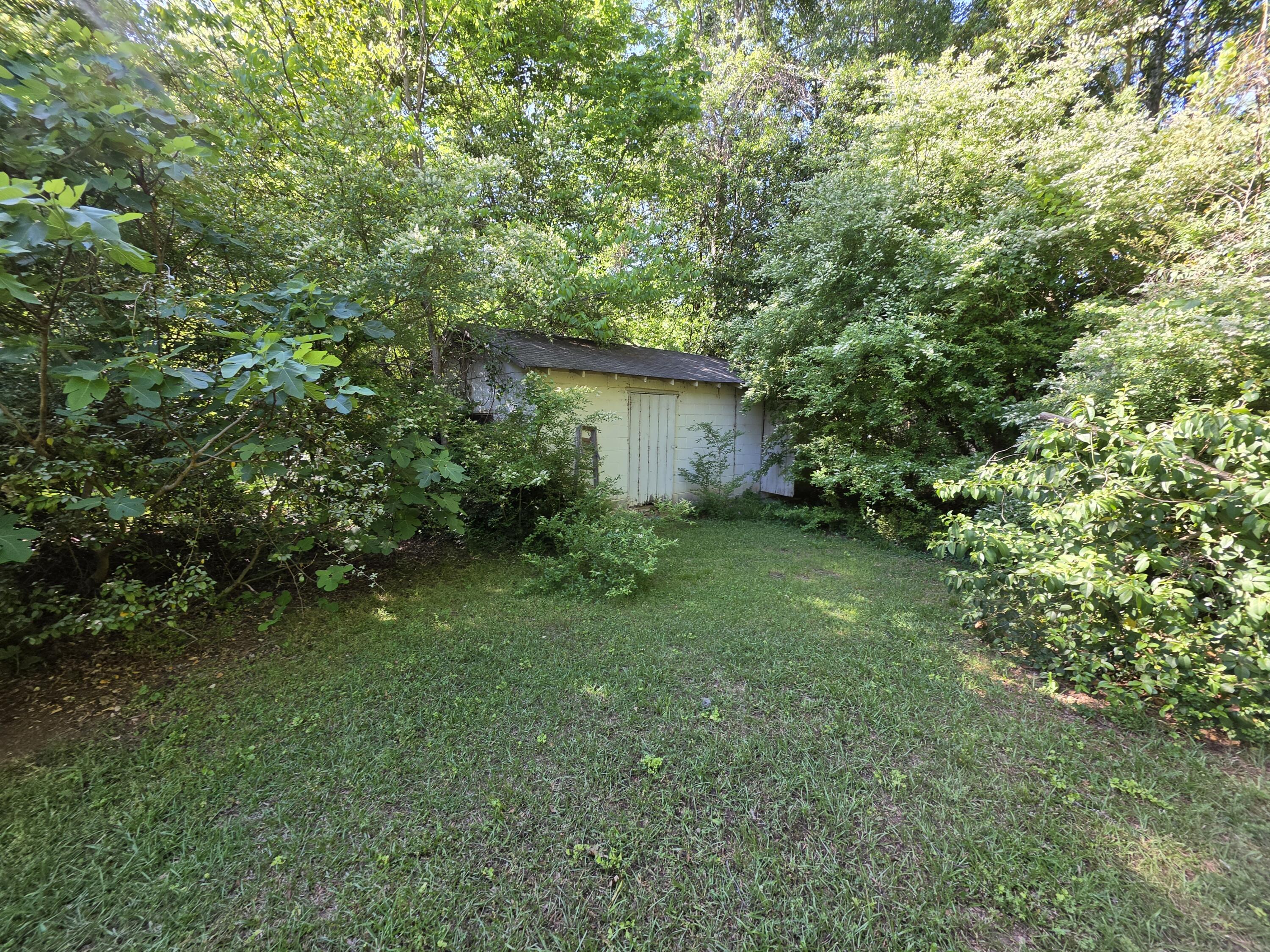 109 Springdale Drive Property Photo 29