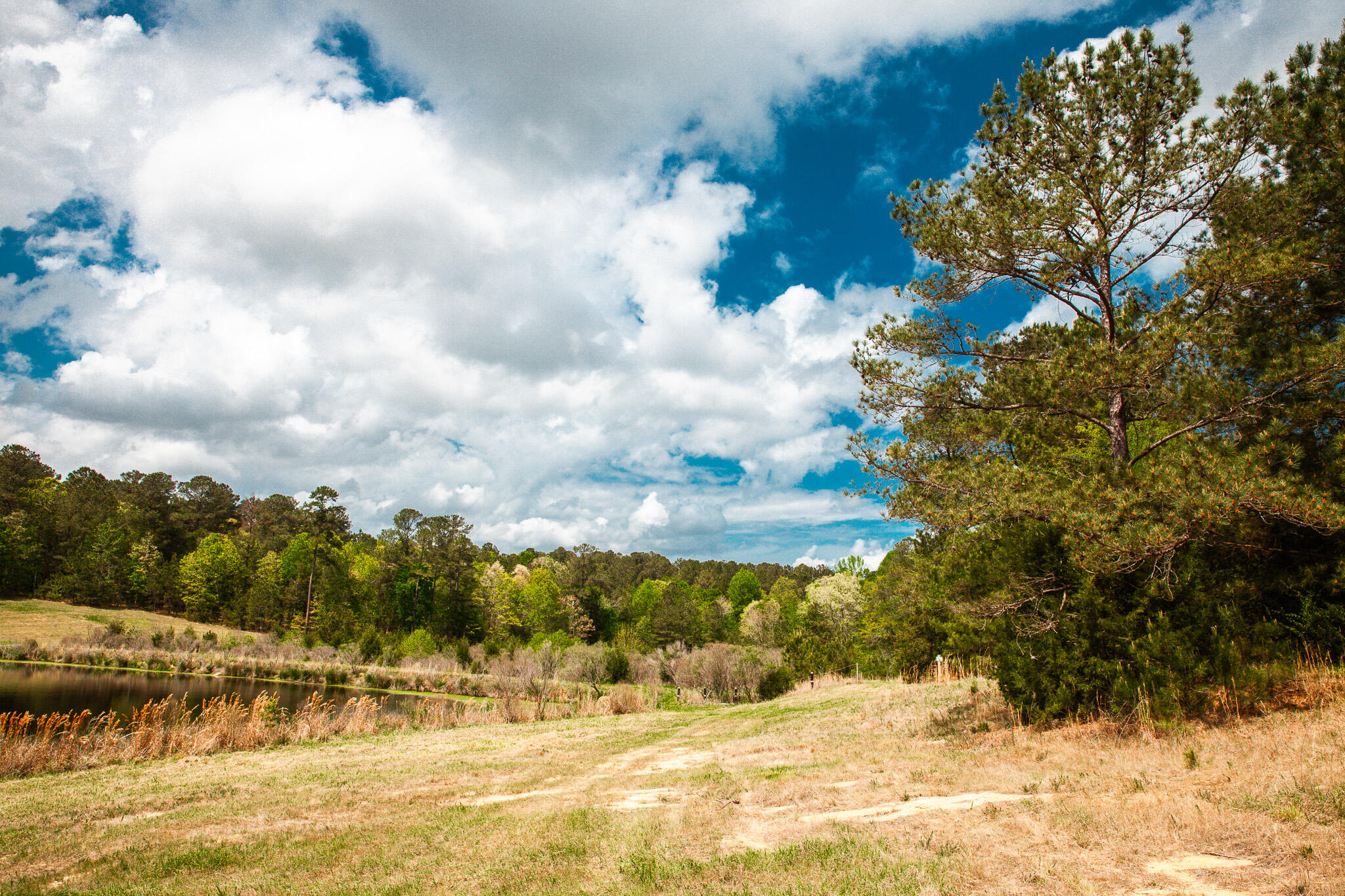 00 Ralph Goolsby Road Property Photo 4