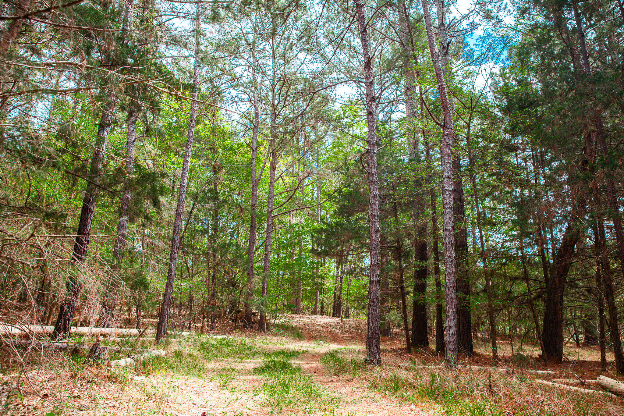 00 Ralph Goolsby Road Property Photo 13