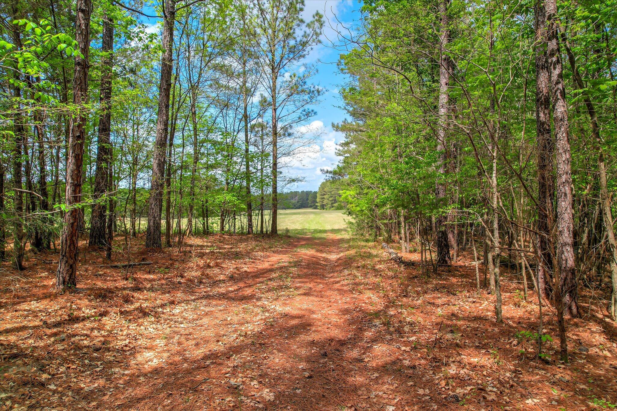 00 Ralph Goolsby Road Property Photo 35