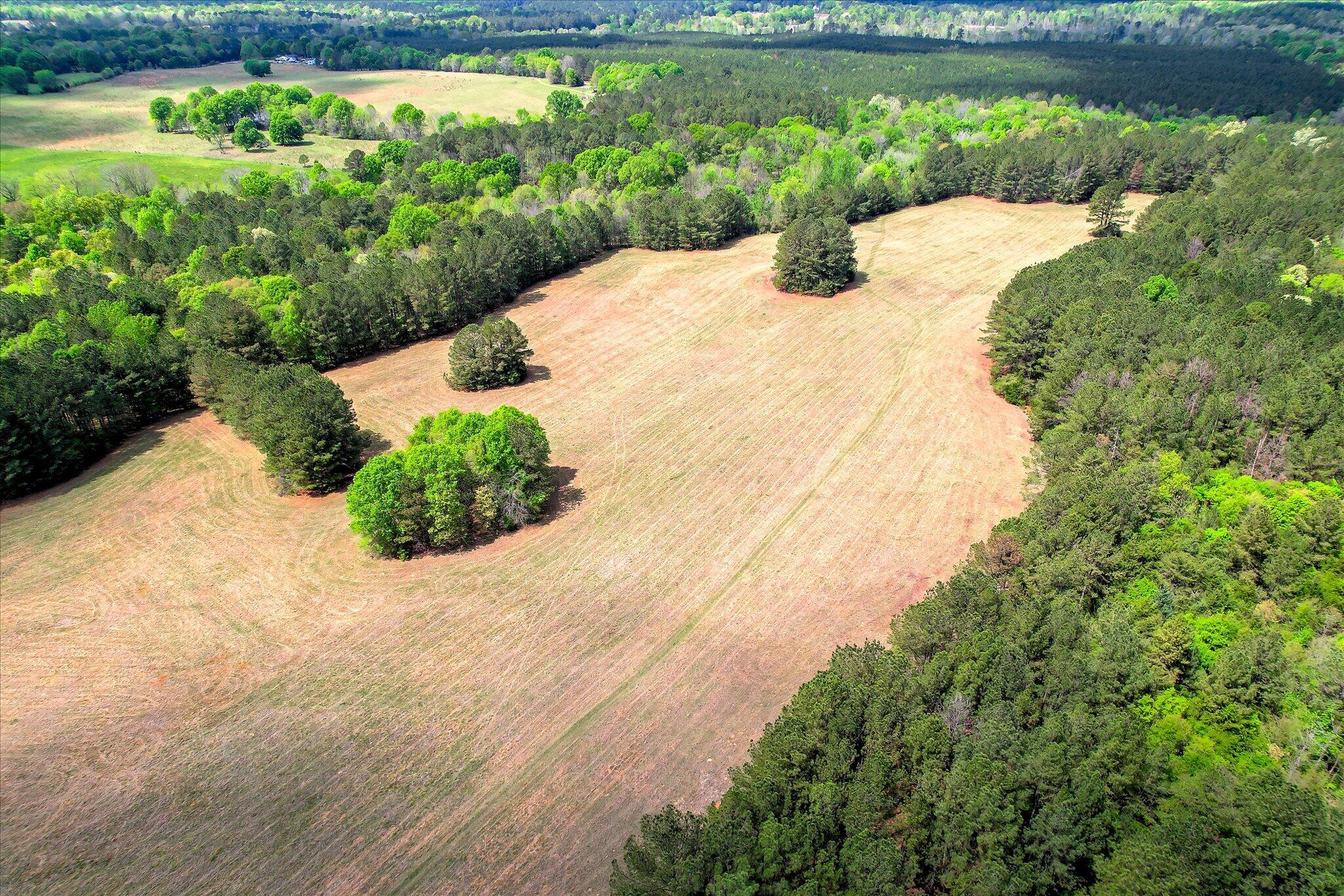 00 Ralph Goolsby Road Property Photo 36