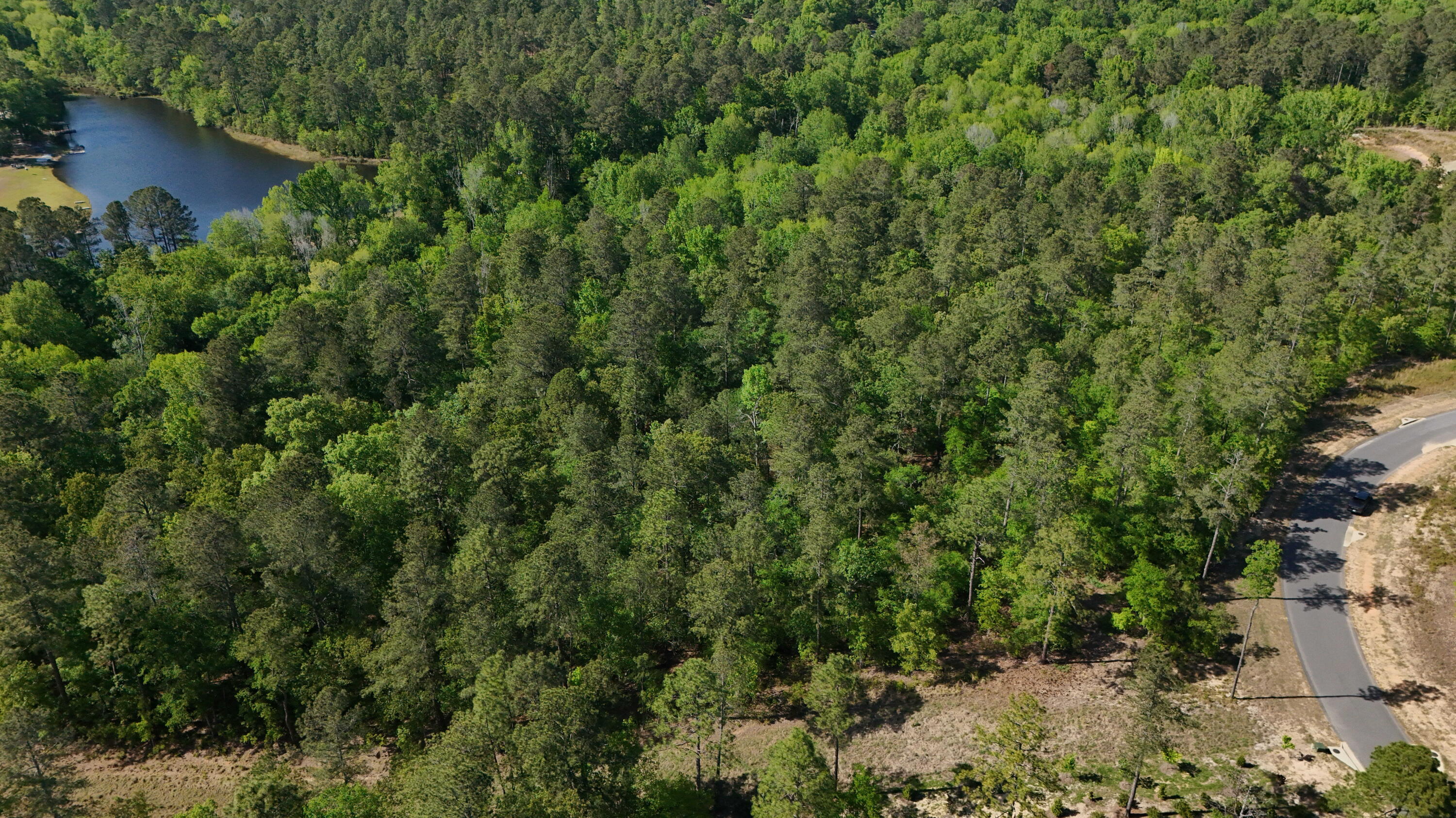 0 Lot 55 Pasture Creek Lane Property Photo 4