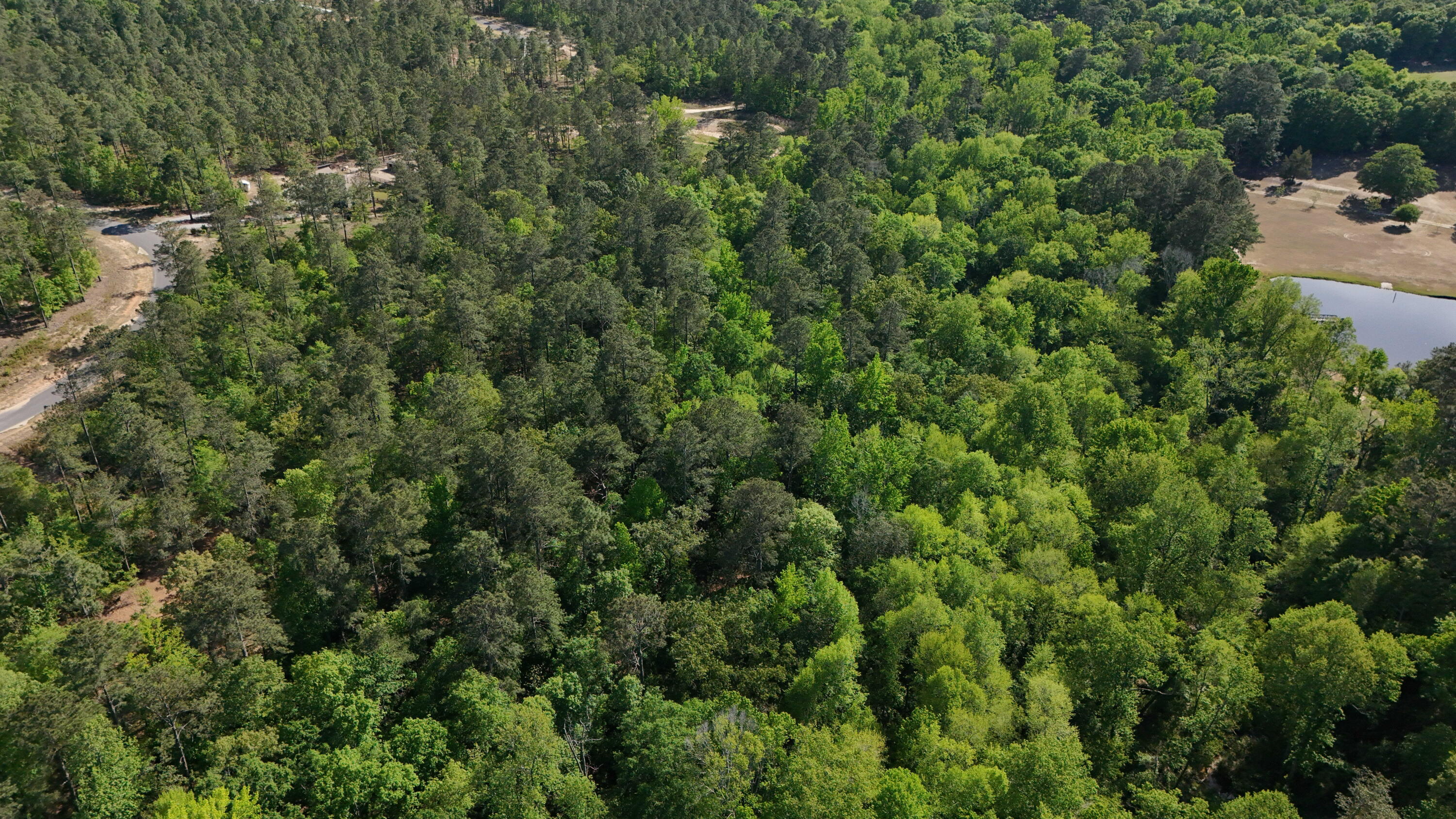 0 Lot 55 Pasture Creek Lane Property Photo 7