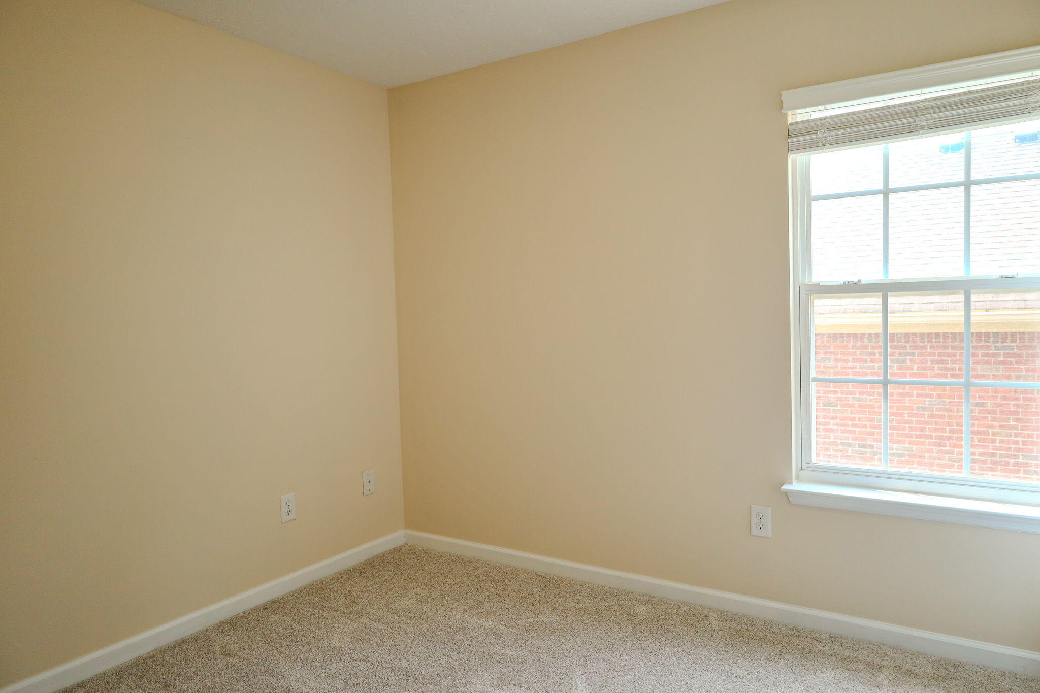 312 Scarlett Court Property Photo 33