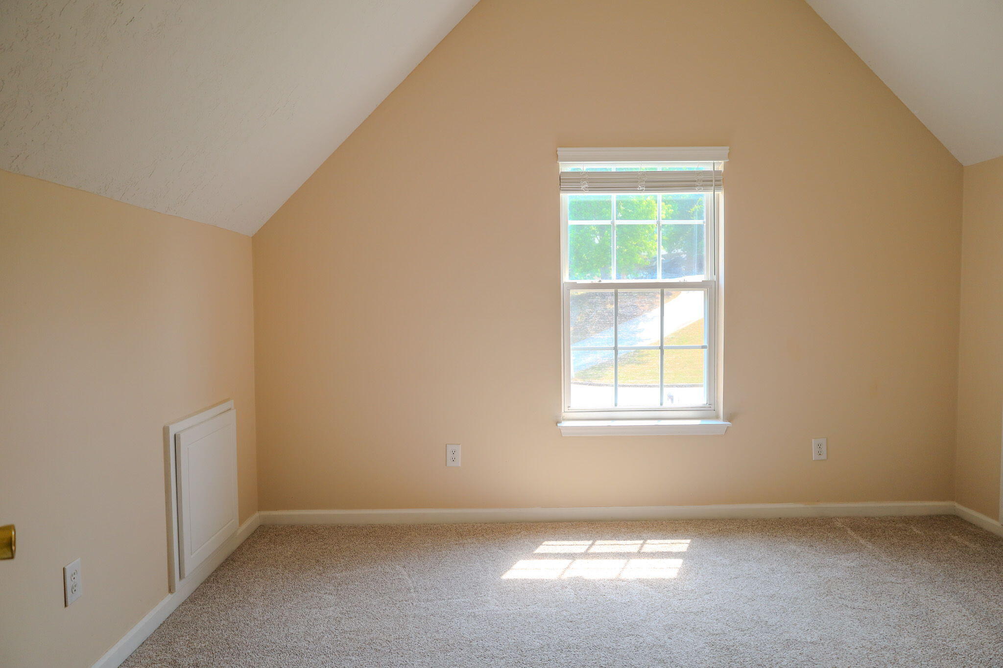 312 Scarlett Court Property Photo 35