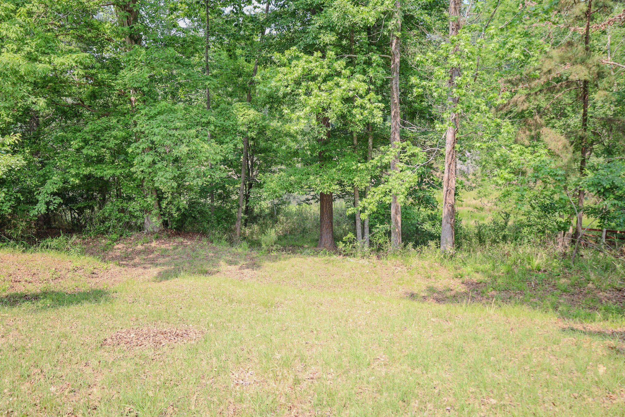 312 Scarlett Court Property Photo 44