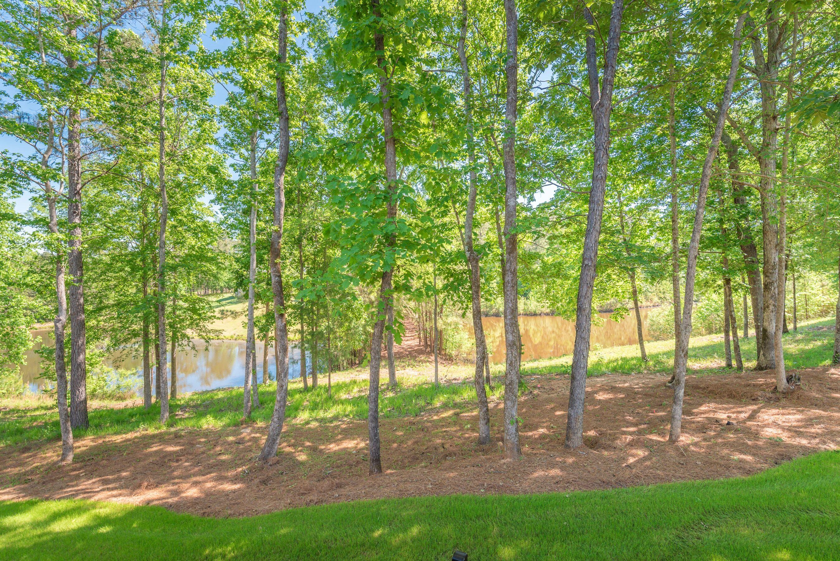6 Cotton Gin Court Property Photo 52