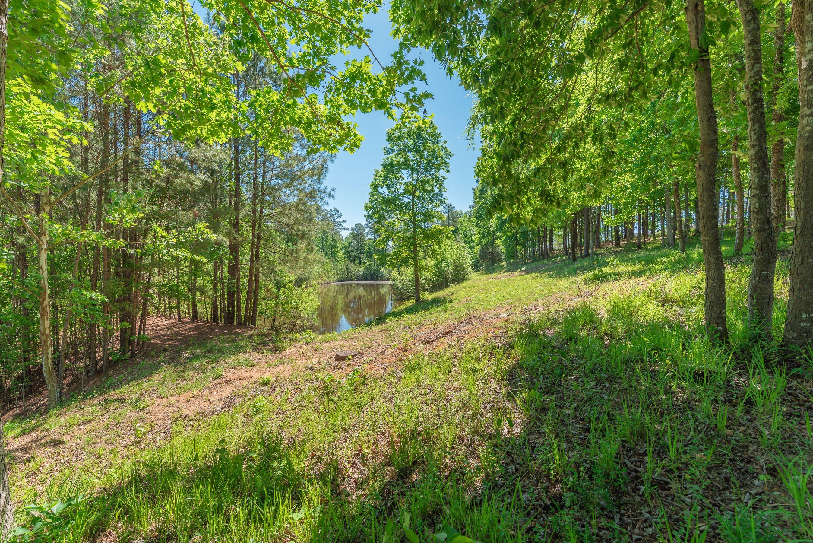 6 Cotton Gin Court Property Photo 58