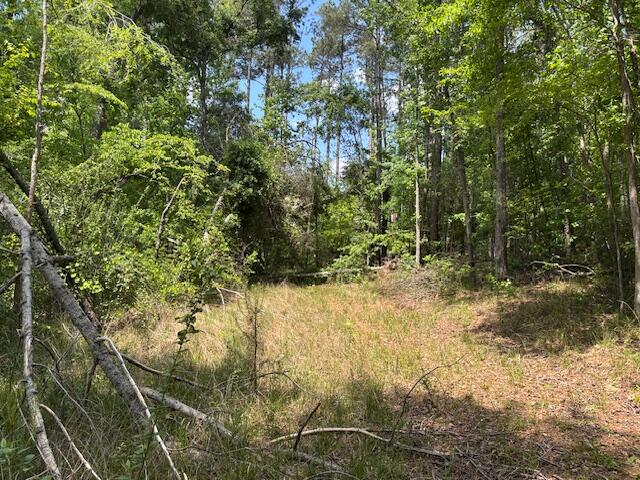 2060 Glenn Property Photo 2