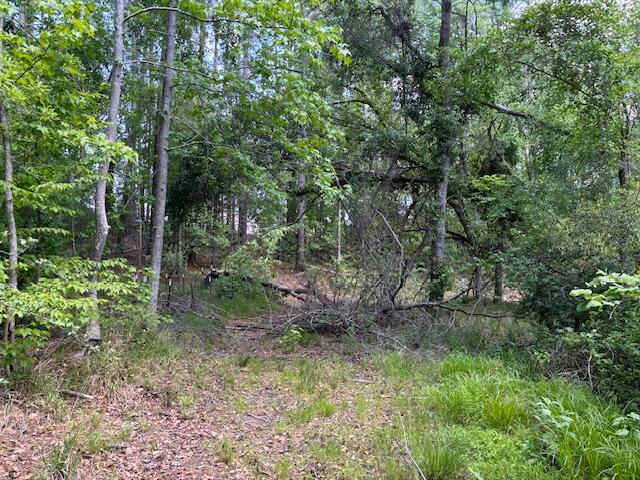 2060 Glenn Property Photo 6