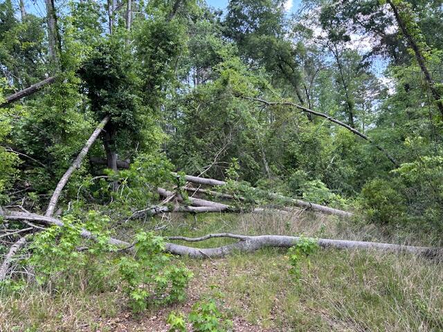 2060 Glenn Property Photo 8