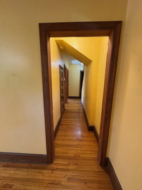 1739 Holly Hill Road Property Photo 19