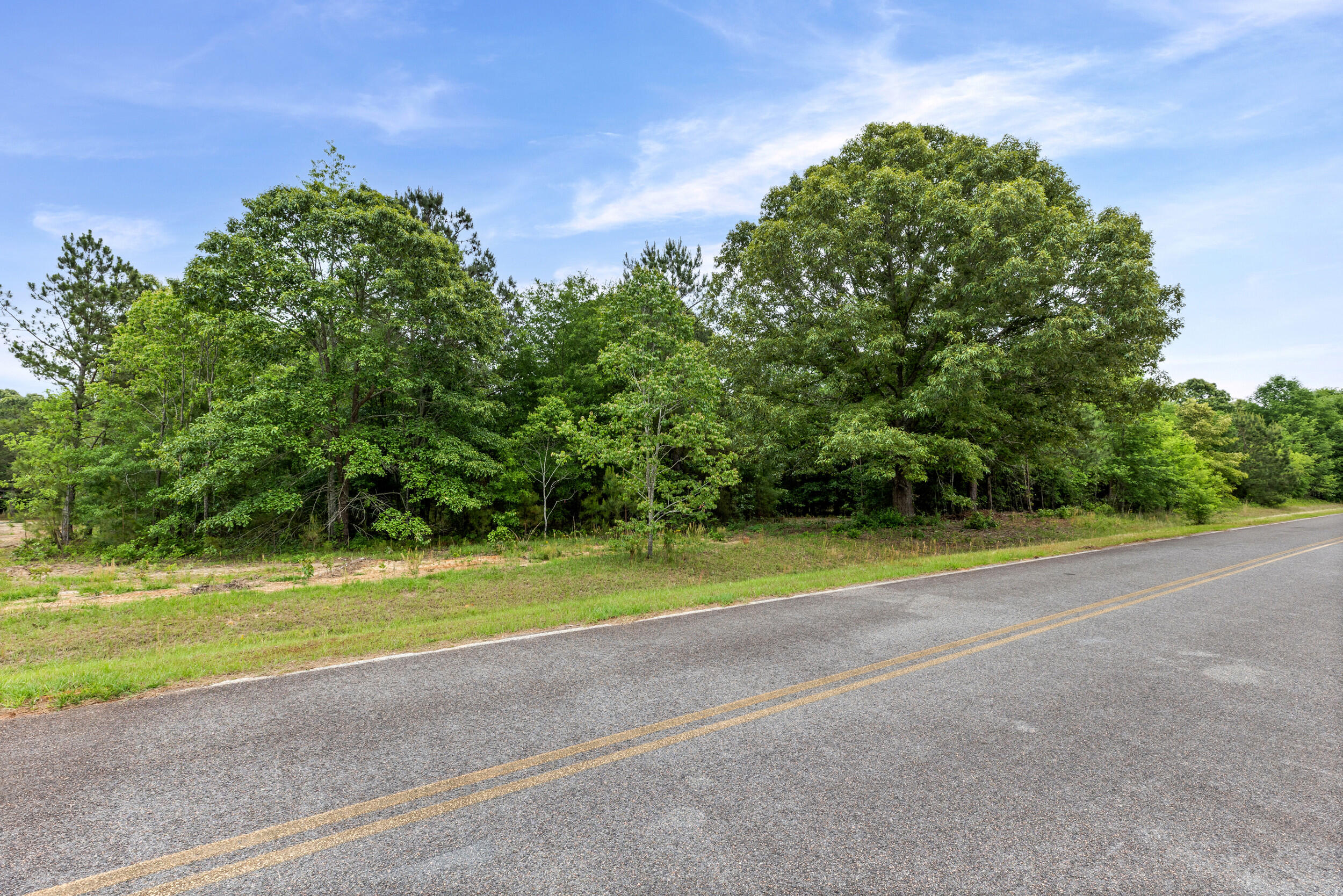0 Sylvan Grove Road Property Photo 17