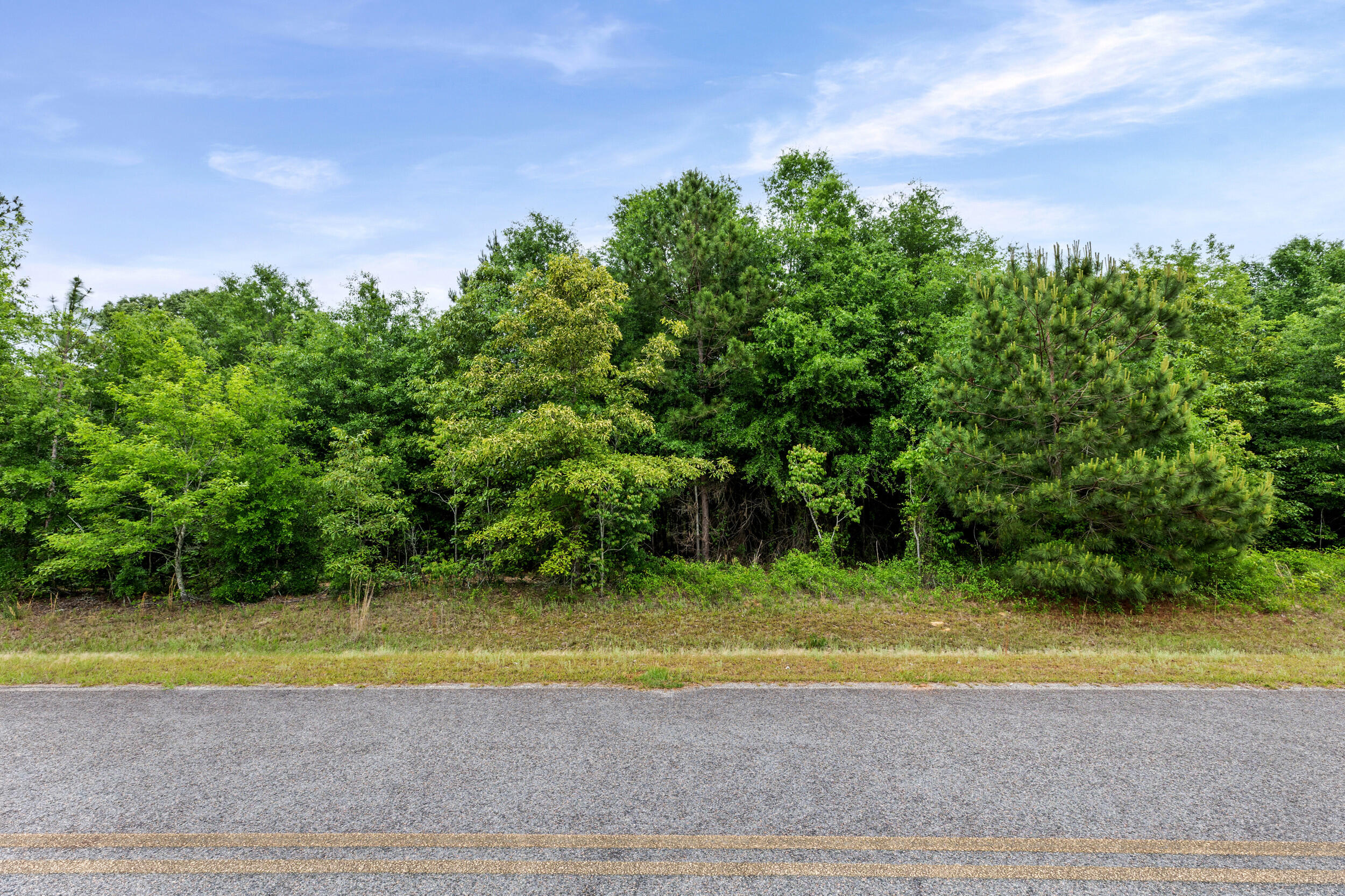 0 Sylvan Grove Road Property Photo 18