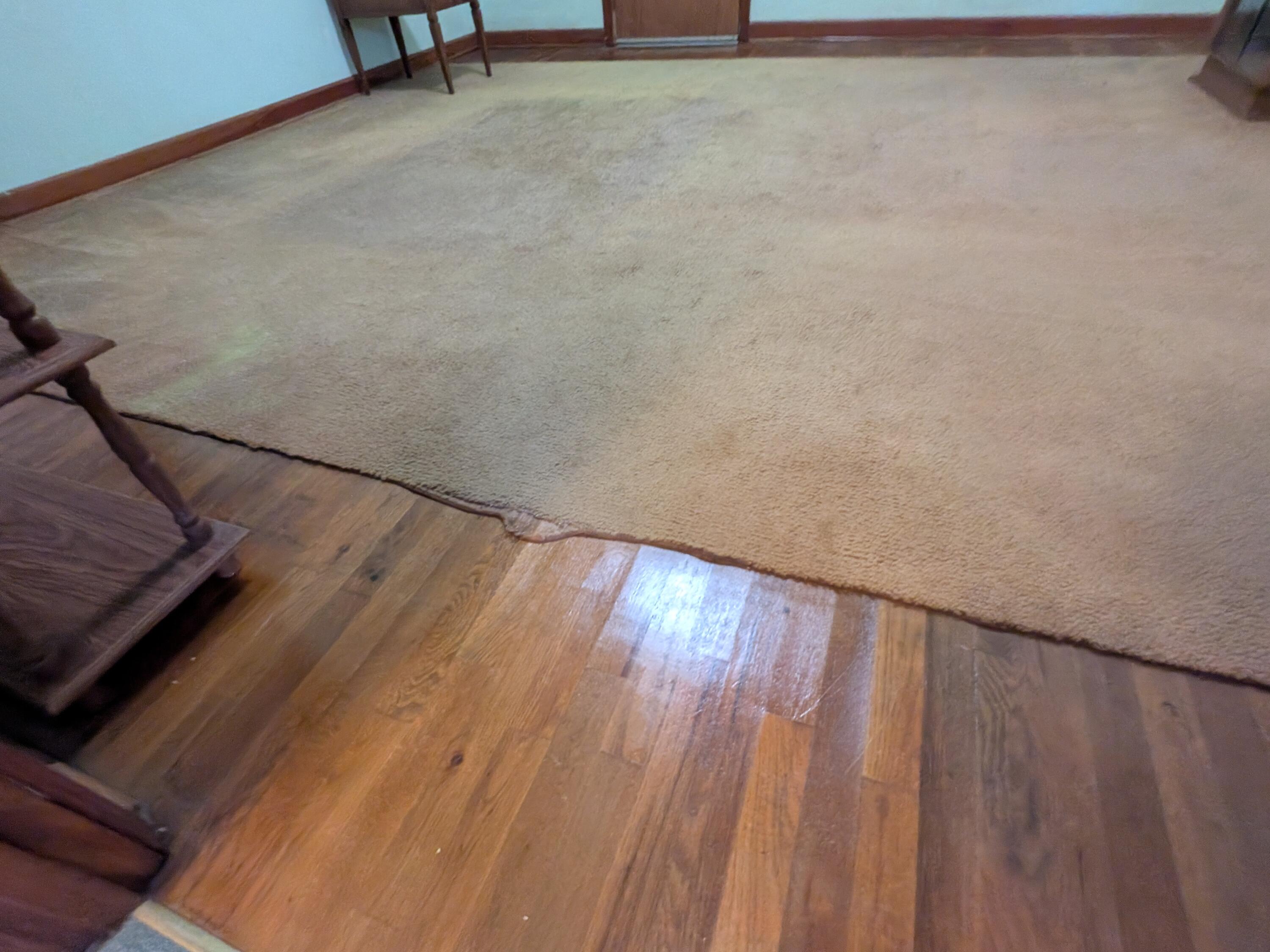 418 Mims Street Property Photo 17