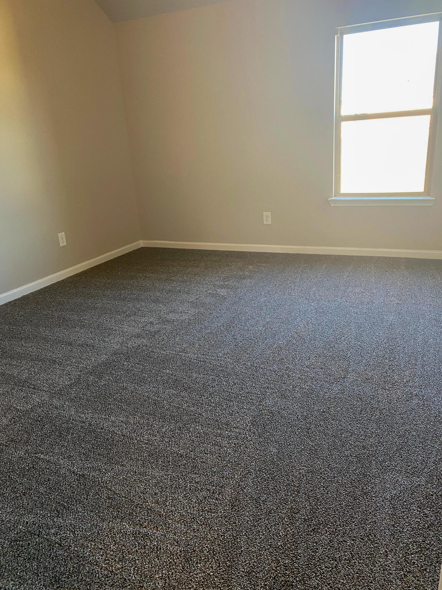 3005 Burgess Street Property Photo 24