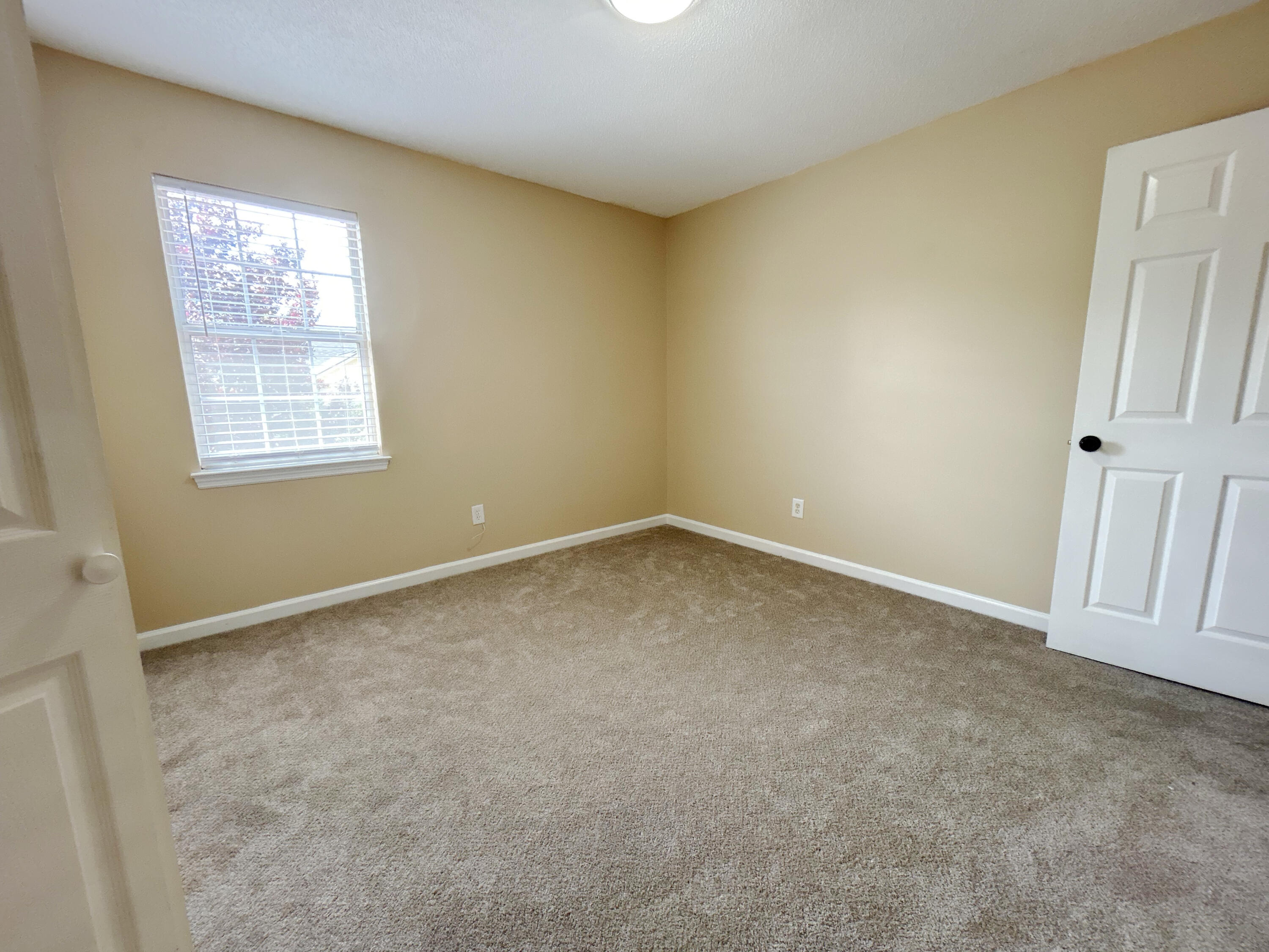 3862 Live Oak Lane Property Photo 25