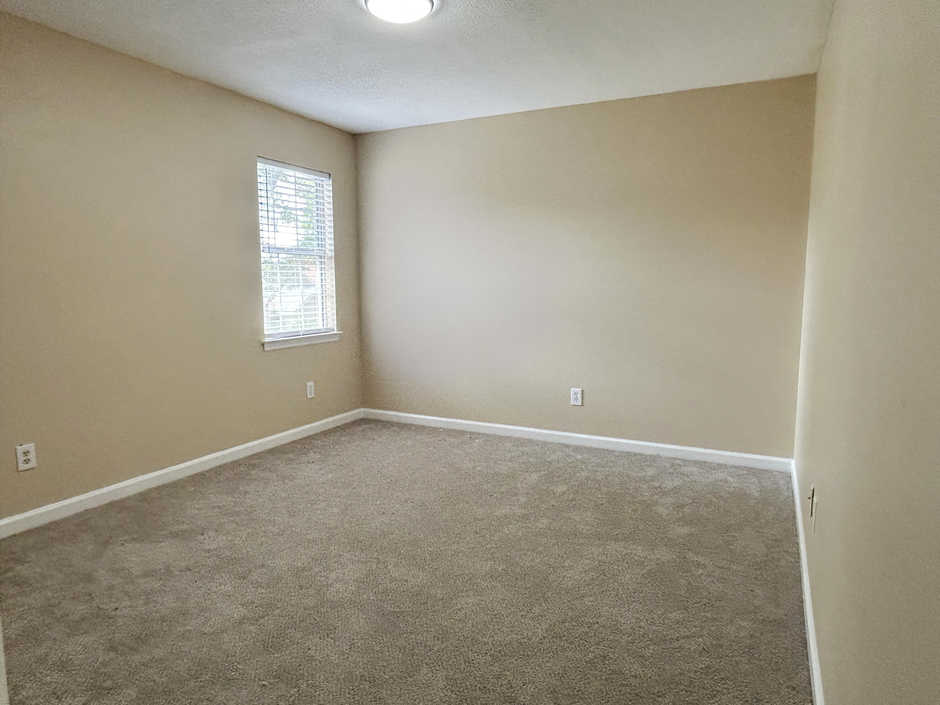 3862 Live Oak Lane Property Photo 26