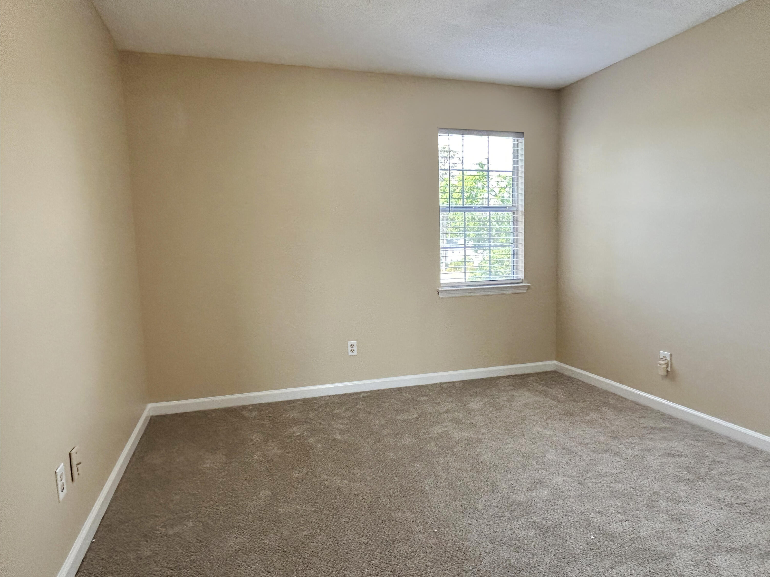 3862 Live Oak Lane Property Photo 31