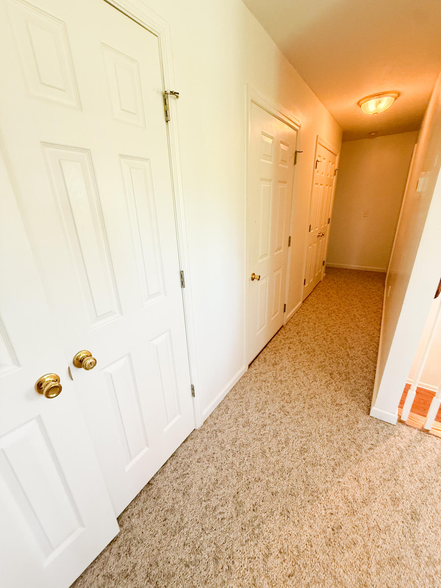 882 Rustic Oak Bend Property Photo 37
